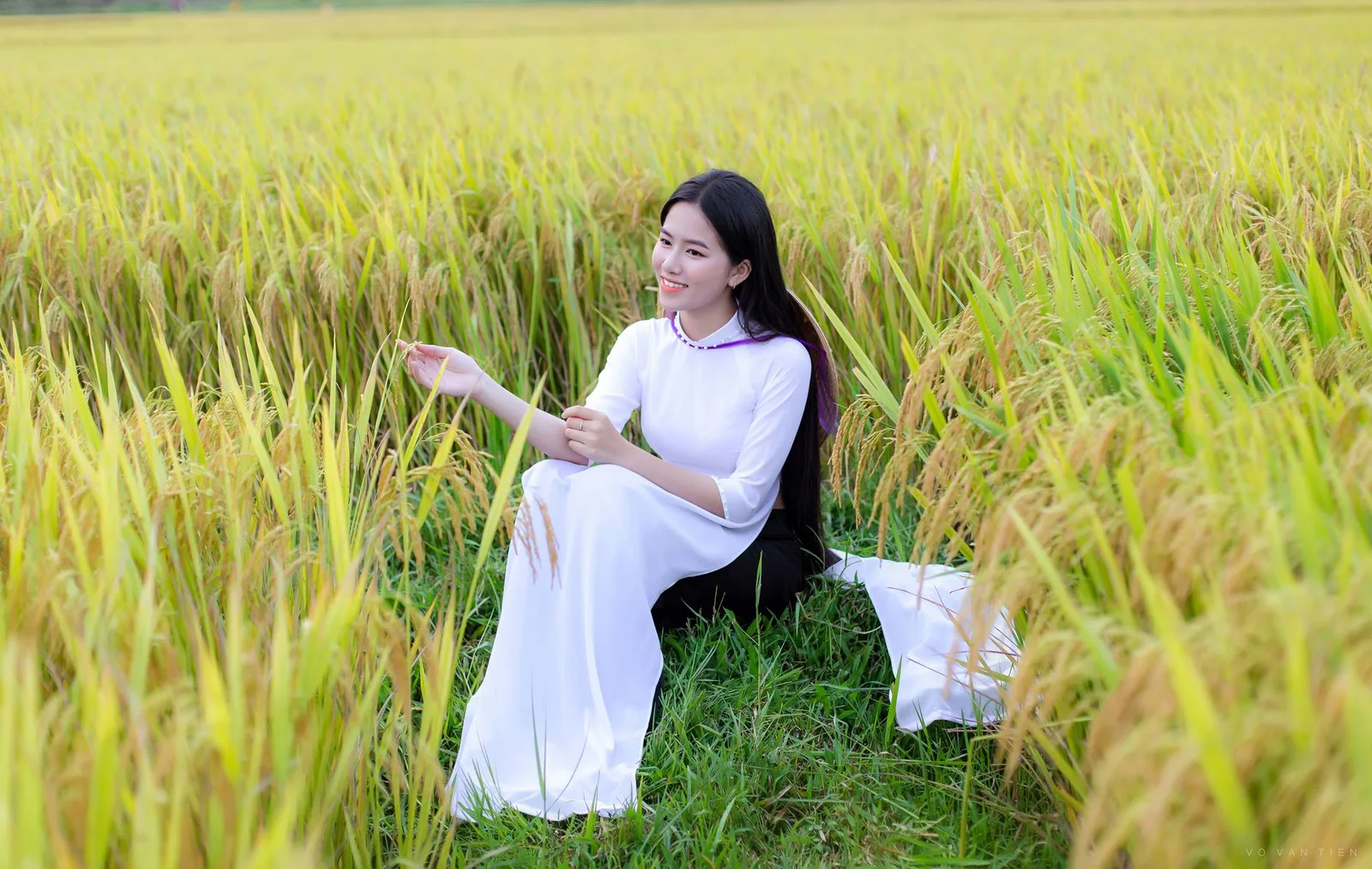 Du khách Việt đi thuyền giữa những cánh đồng lúa vàng Tam Cốc