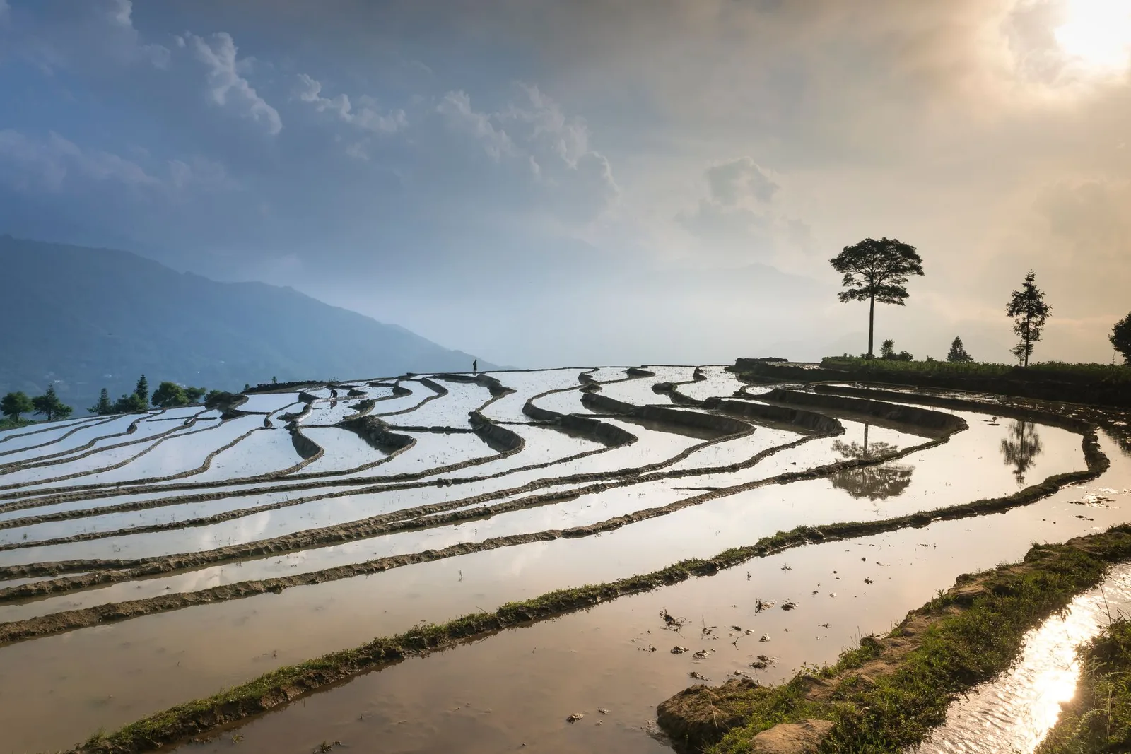 Ruộng bậc thang Mù Cang Chải dưới ánh hoàng hôn