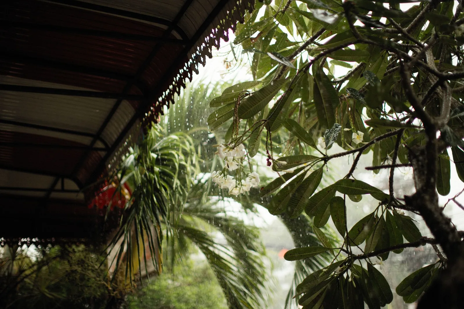 Homestay nhiệt đới vắng khách trong mùa mưa thấp điểm