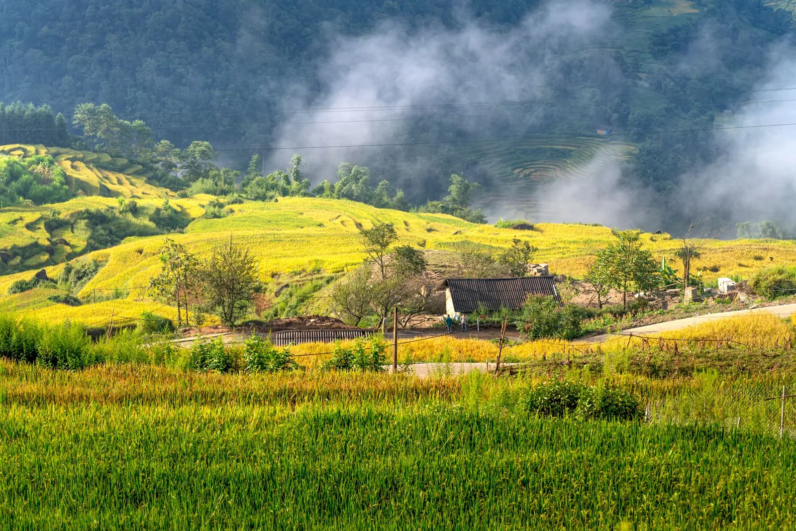 Homestay sinh thái hài hòa với cảnh quan nông thôn