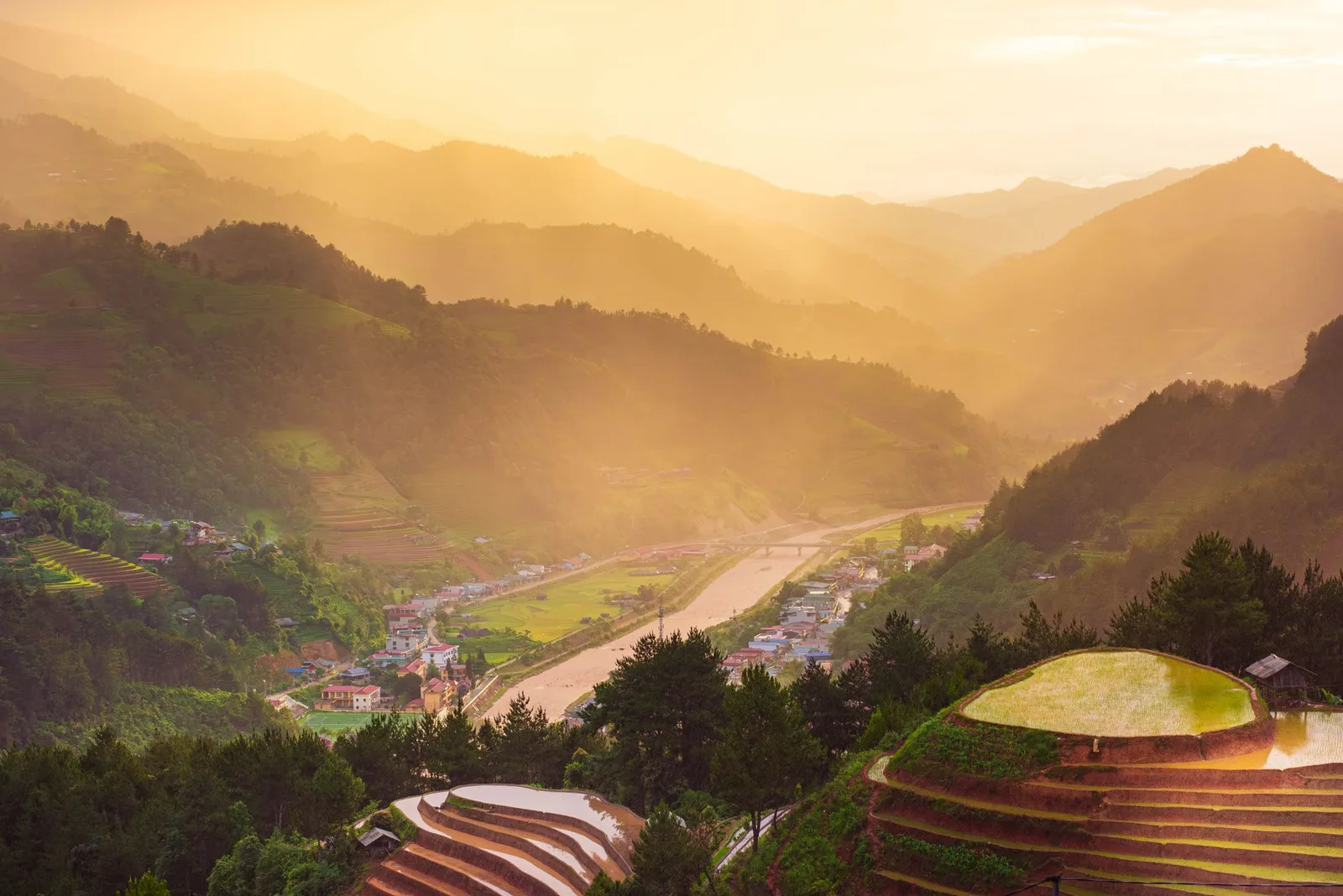 Ruộng bậc thang Mù Cang Chải vàng óng mùa lúa chín