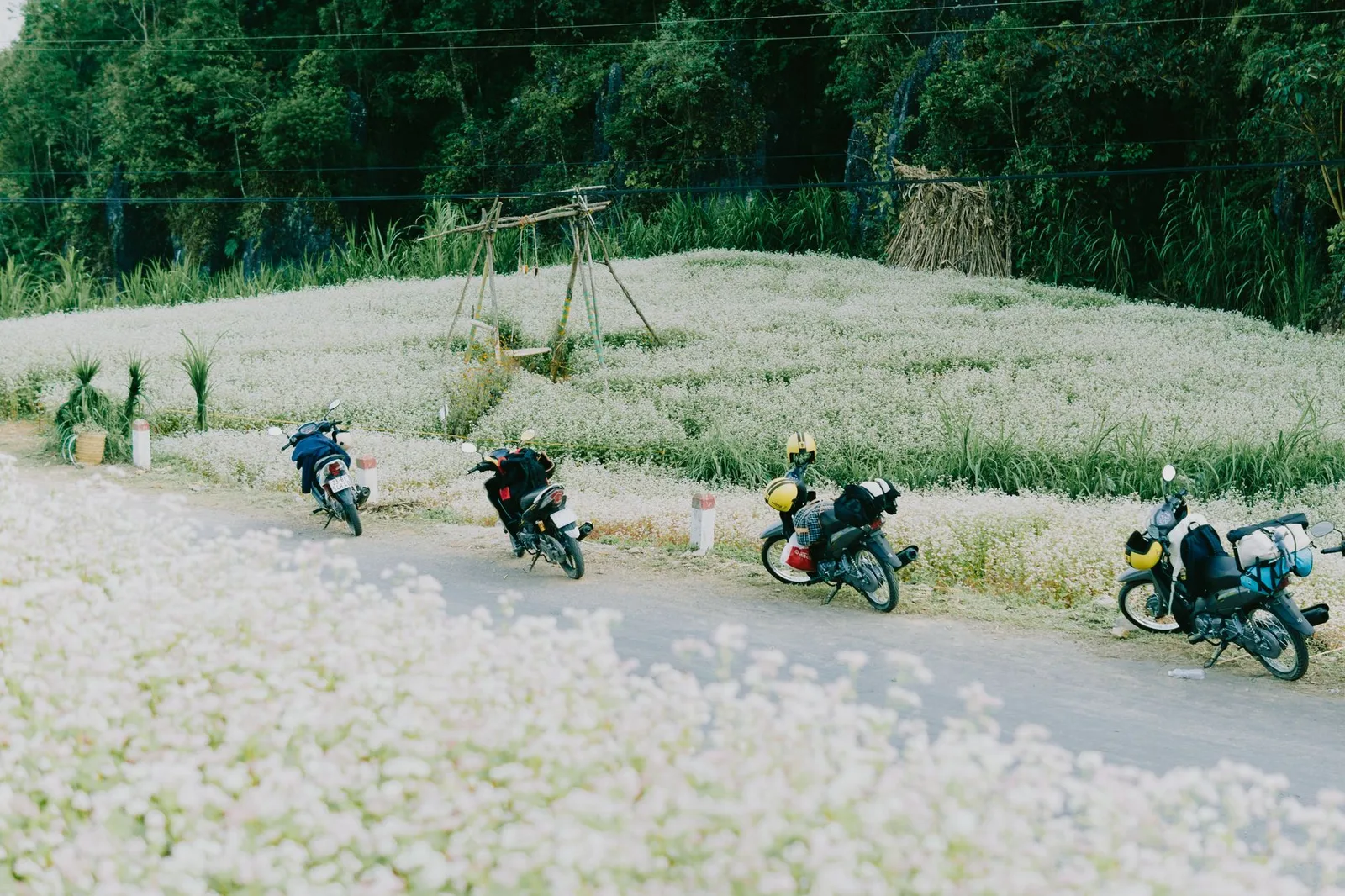 Du khách Việt khám phá cung đường núi Hà Giang