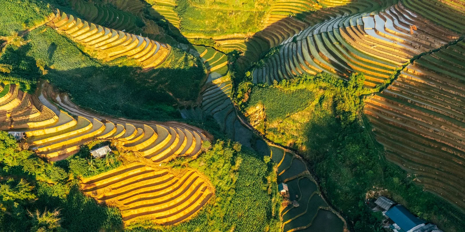 Ruộng bậc thang mùa thu hoạch giữa núi non Hà Giang