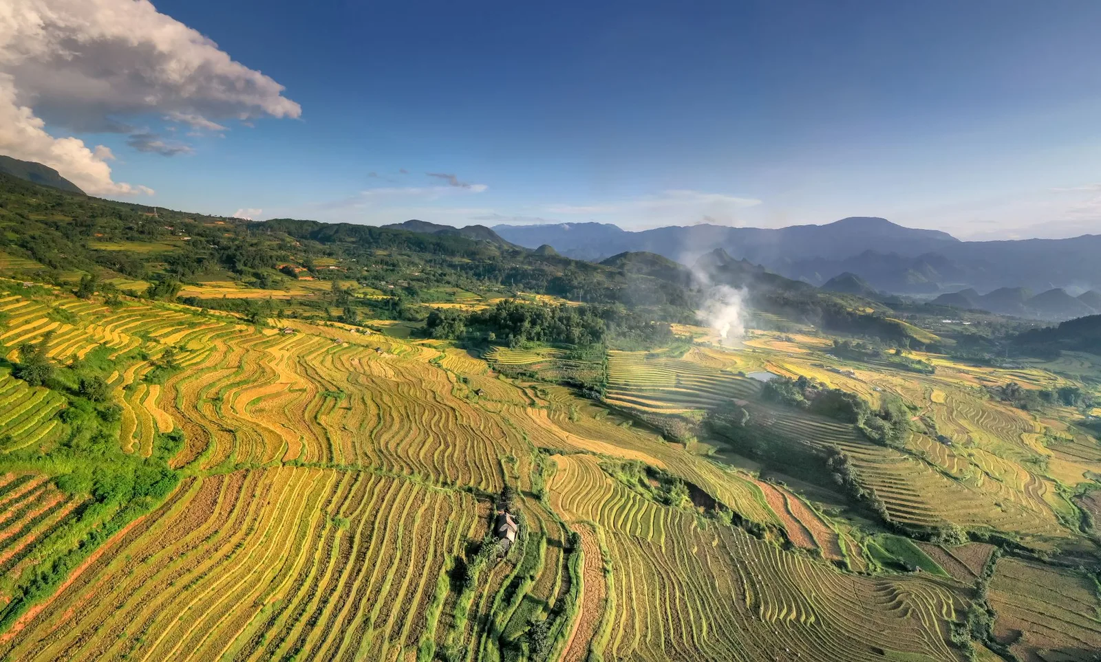 Du khách châu Á ngắm ruộng bậc thang mùa lúa chín