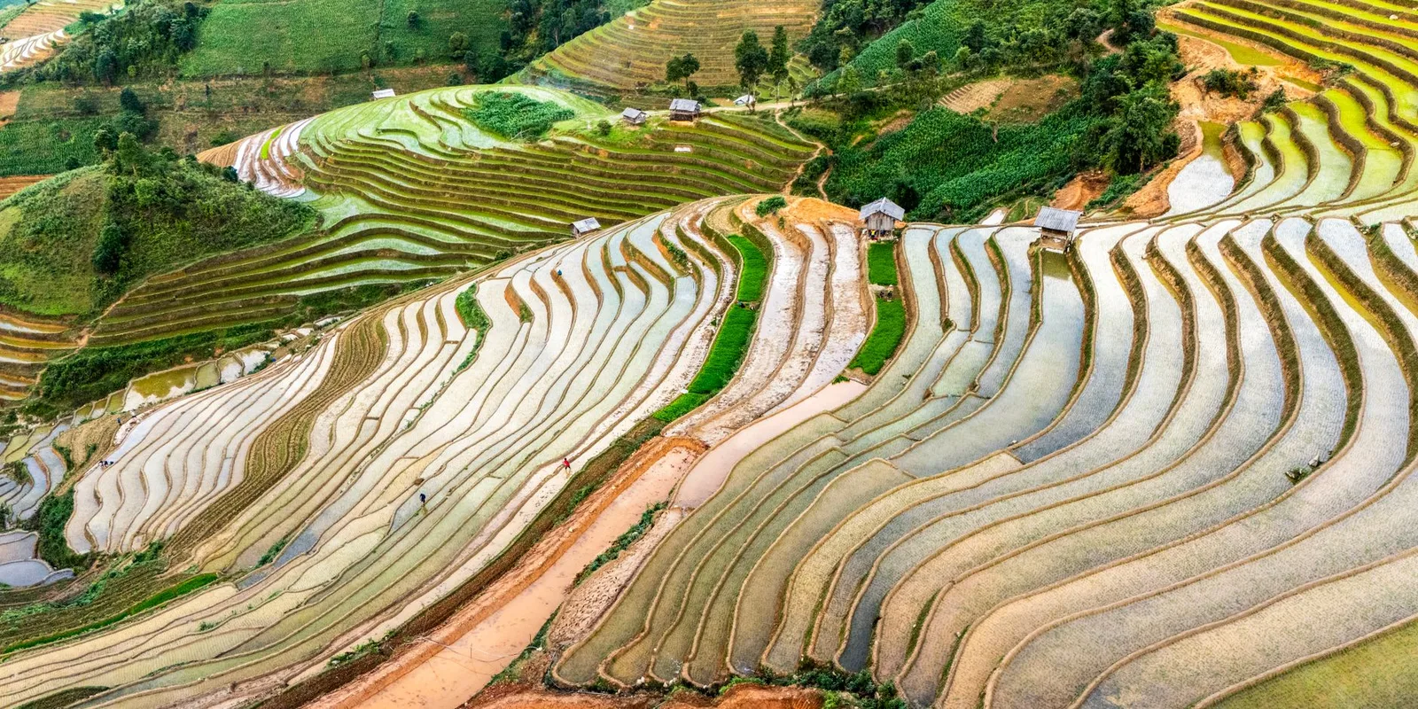 Ruộng bậc thang Mù Cang Chải mùa lúa chín