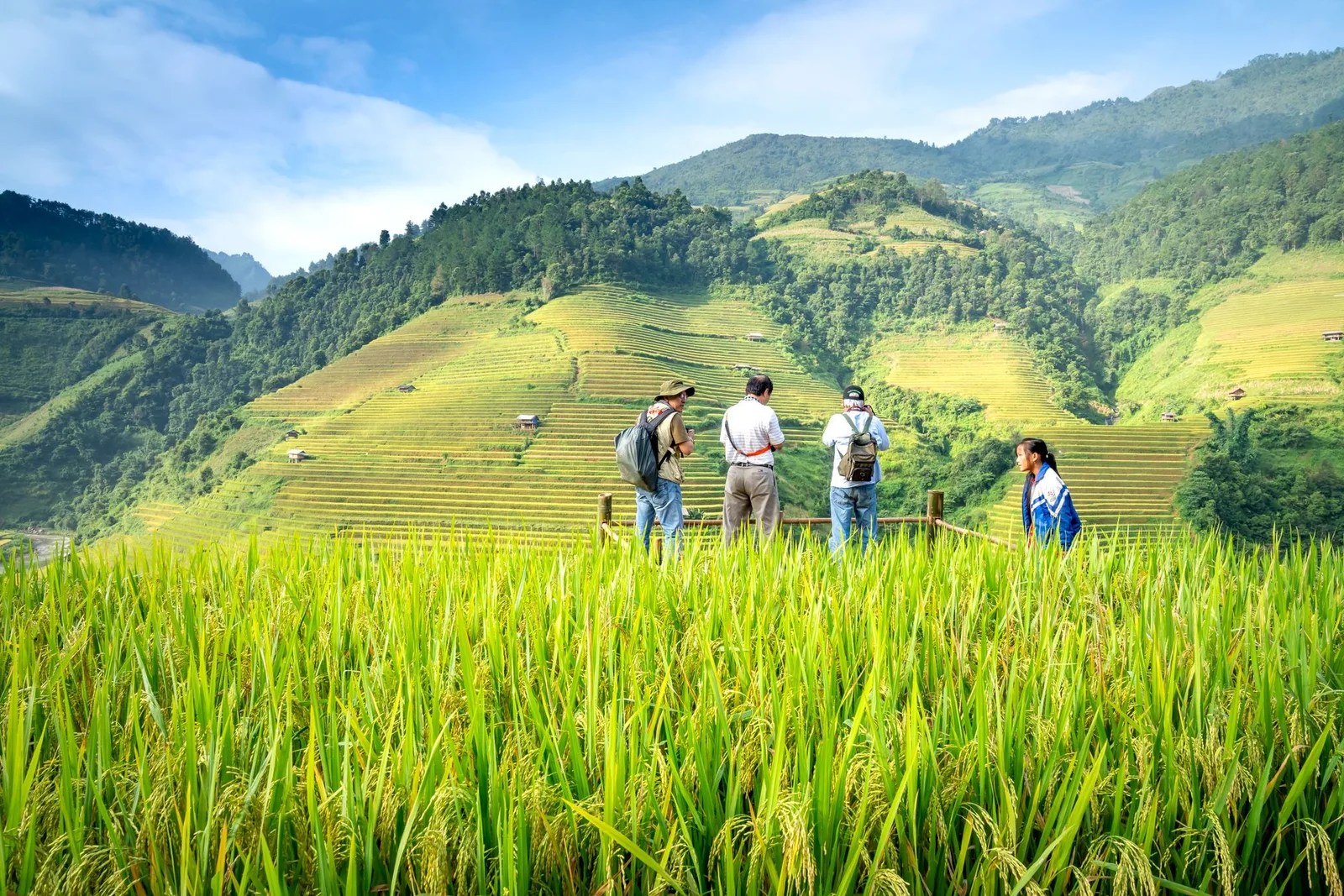 Du khách Việt khám phá ruộng bậc thang mùa lúa chín