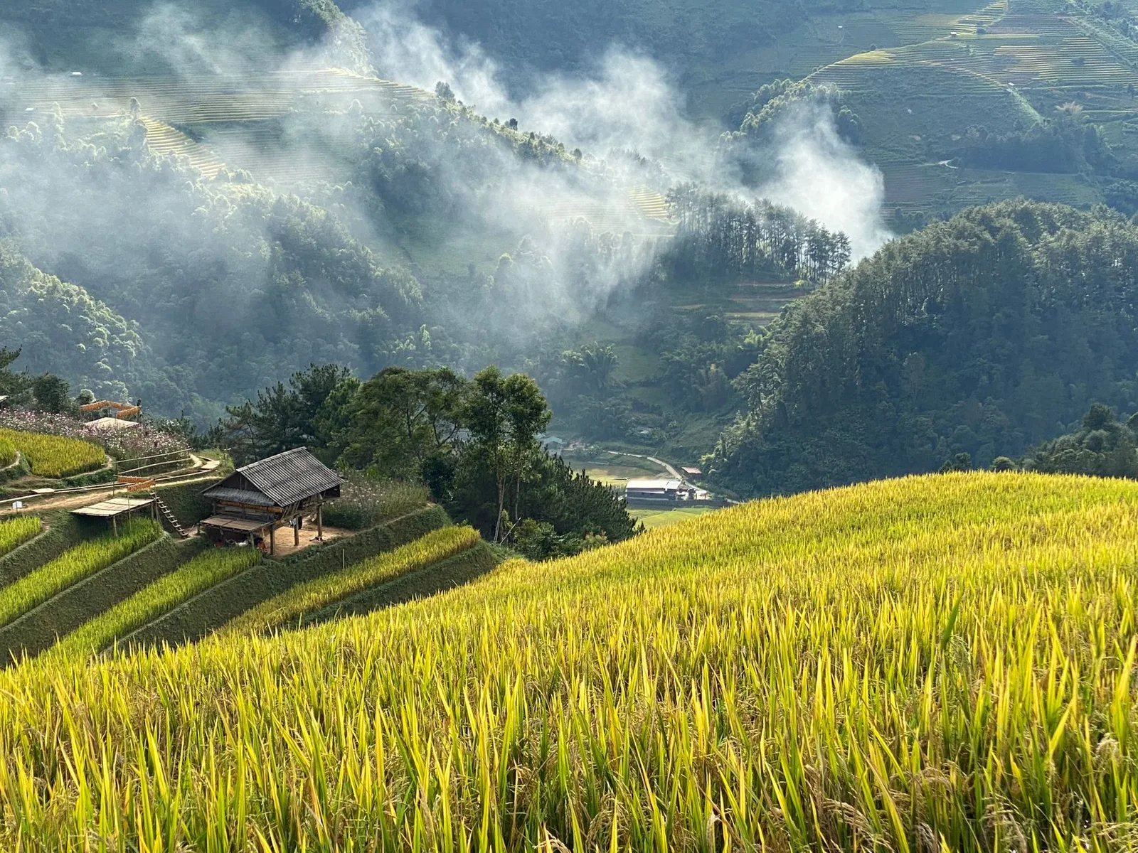 Bản làng giữa ruộng bậc thang mùa lúa chín