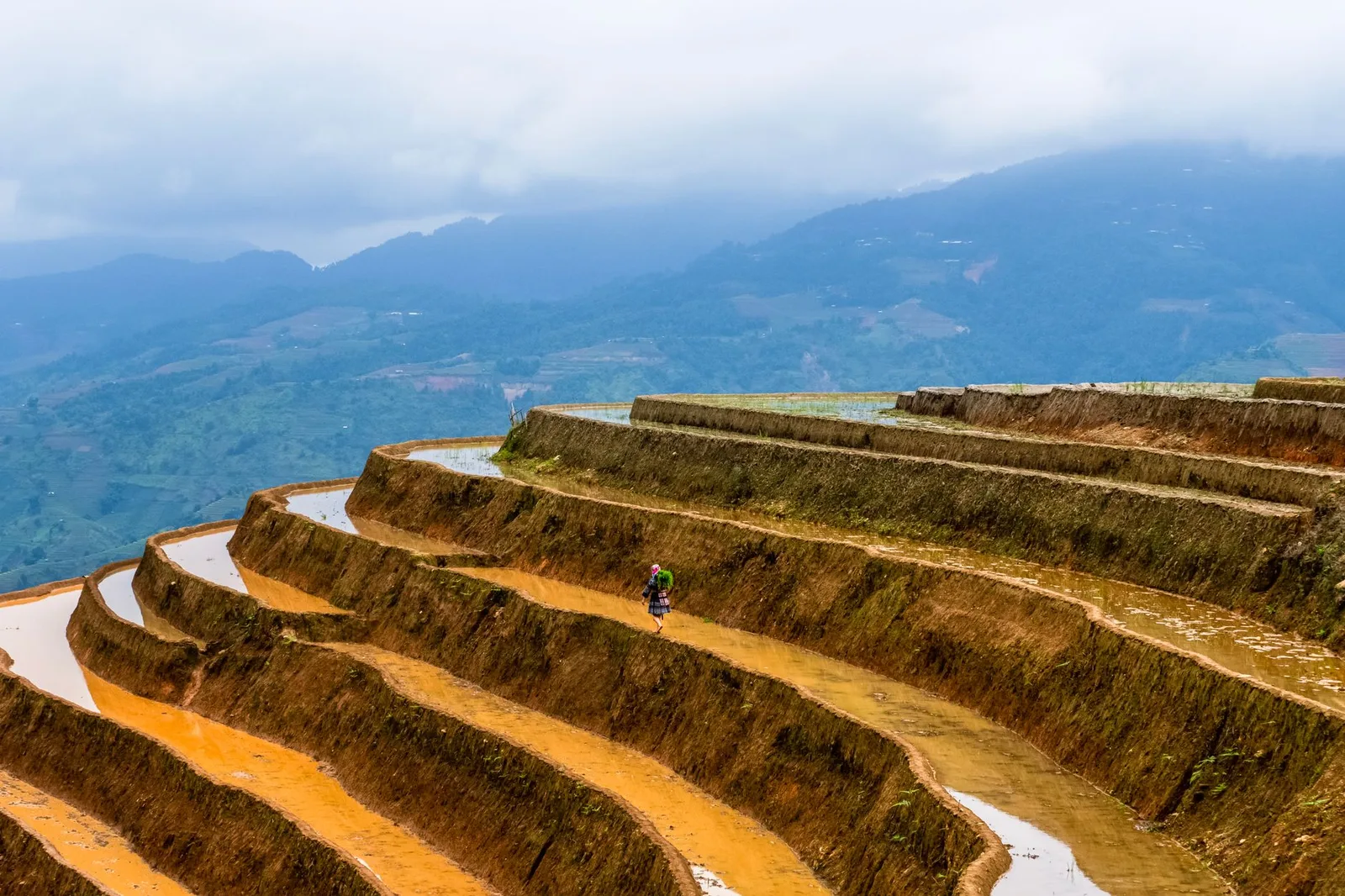 Du khách châu Á đi bộ an toàn giữa ruộng bậc thang