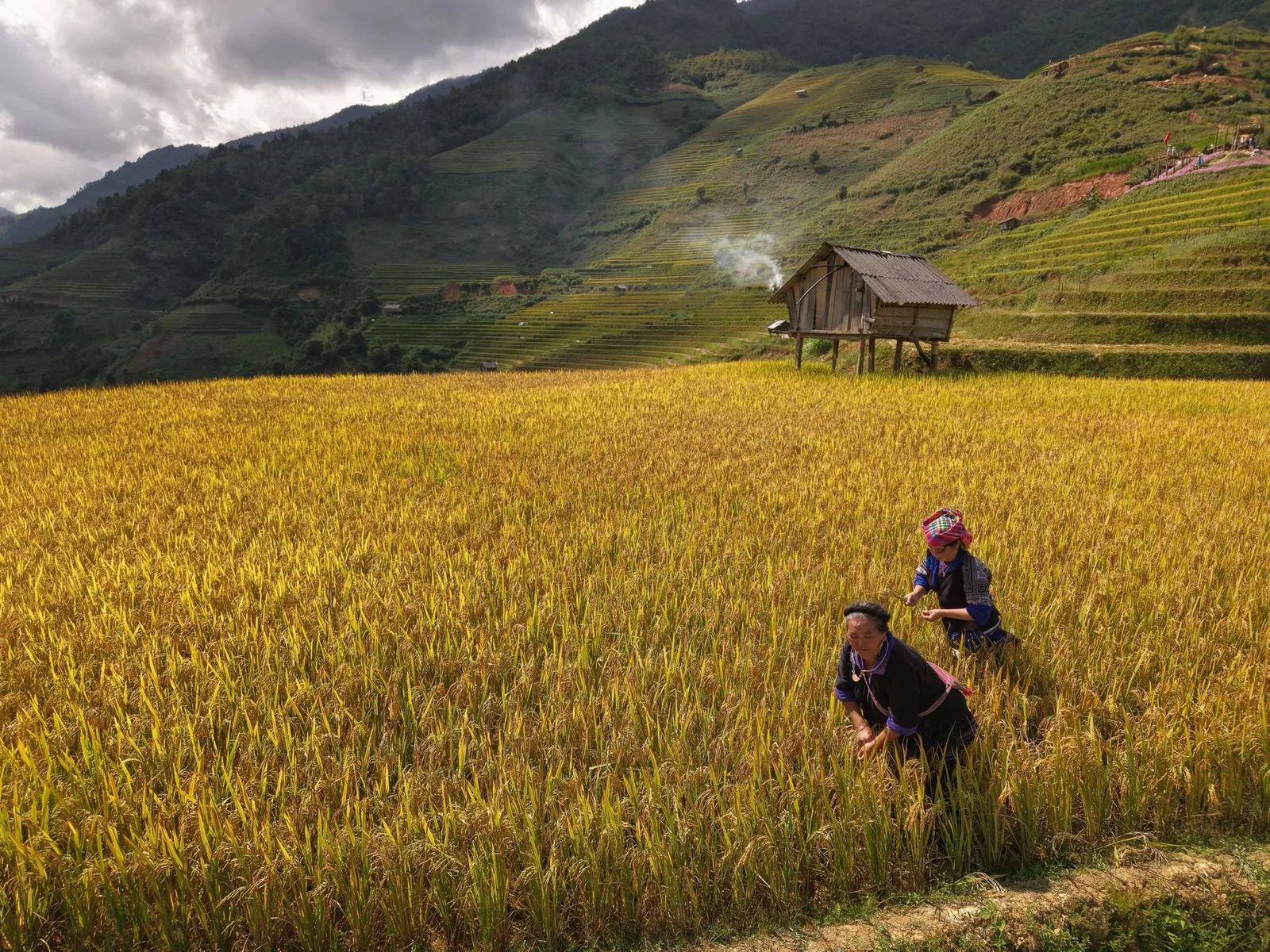 Đường núi quanh co đến Mù Cang Chải vào mùa thu