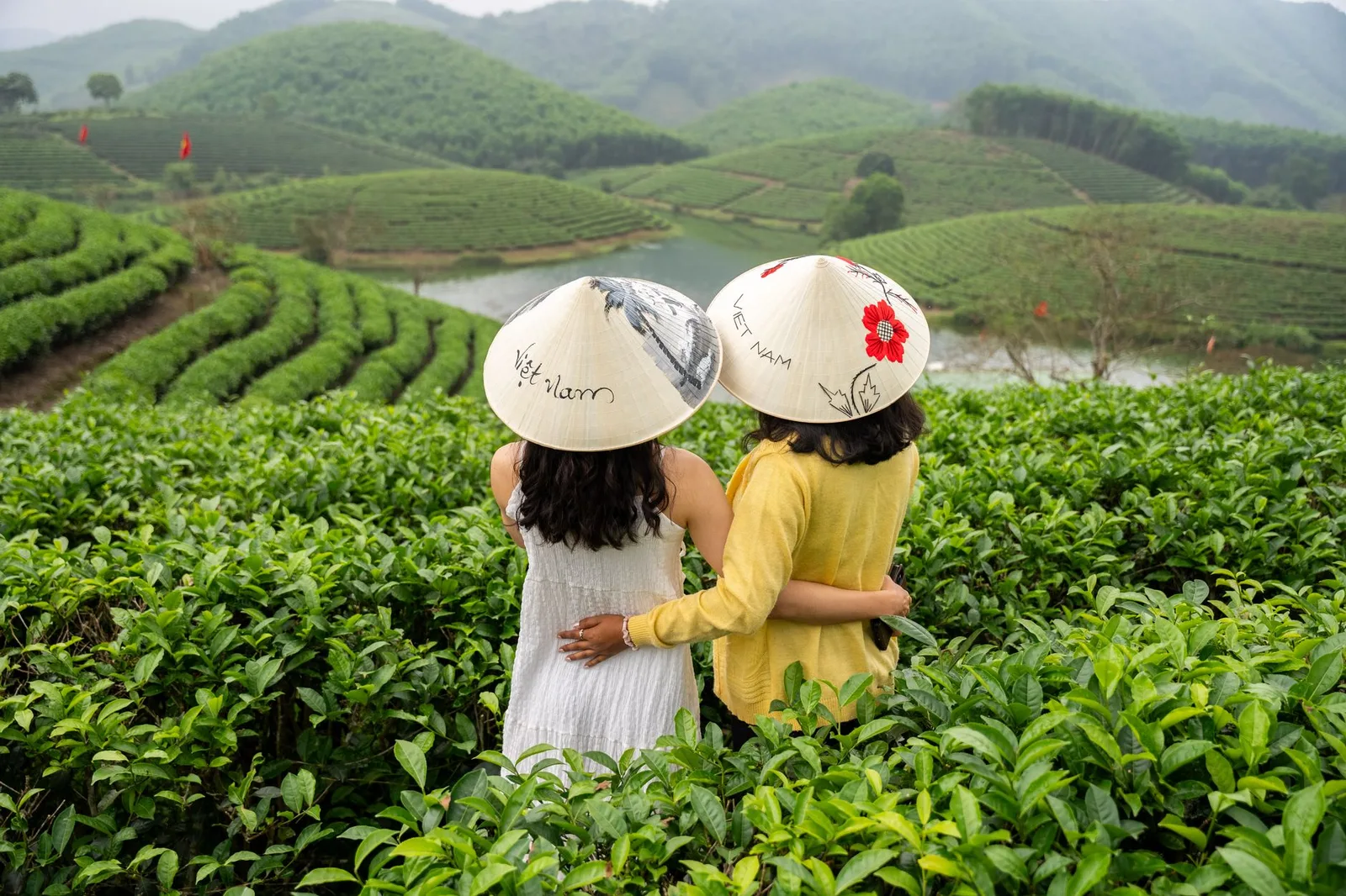 Đồi chè xanh và đồng hoa ở ngoại ô Đà Lạt