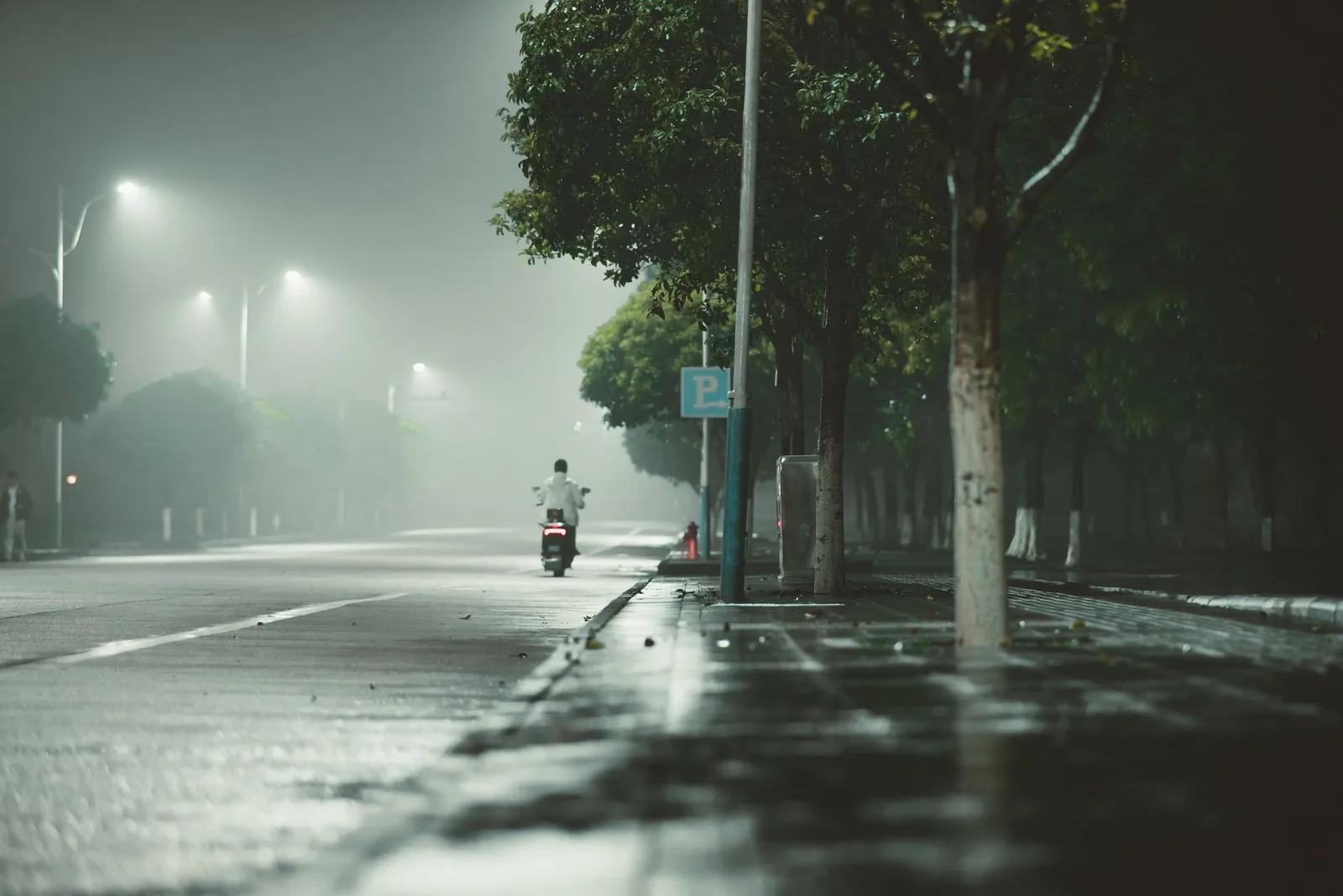Người đi xe máy dừng bên đường khi sương mù quá dày
