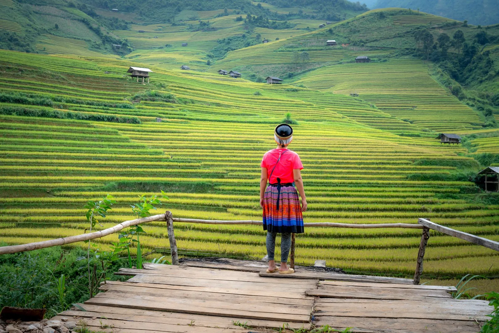 Homestay view ruộng bậc thang tại Mù Cang Chải