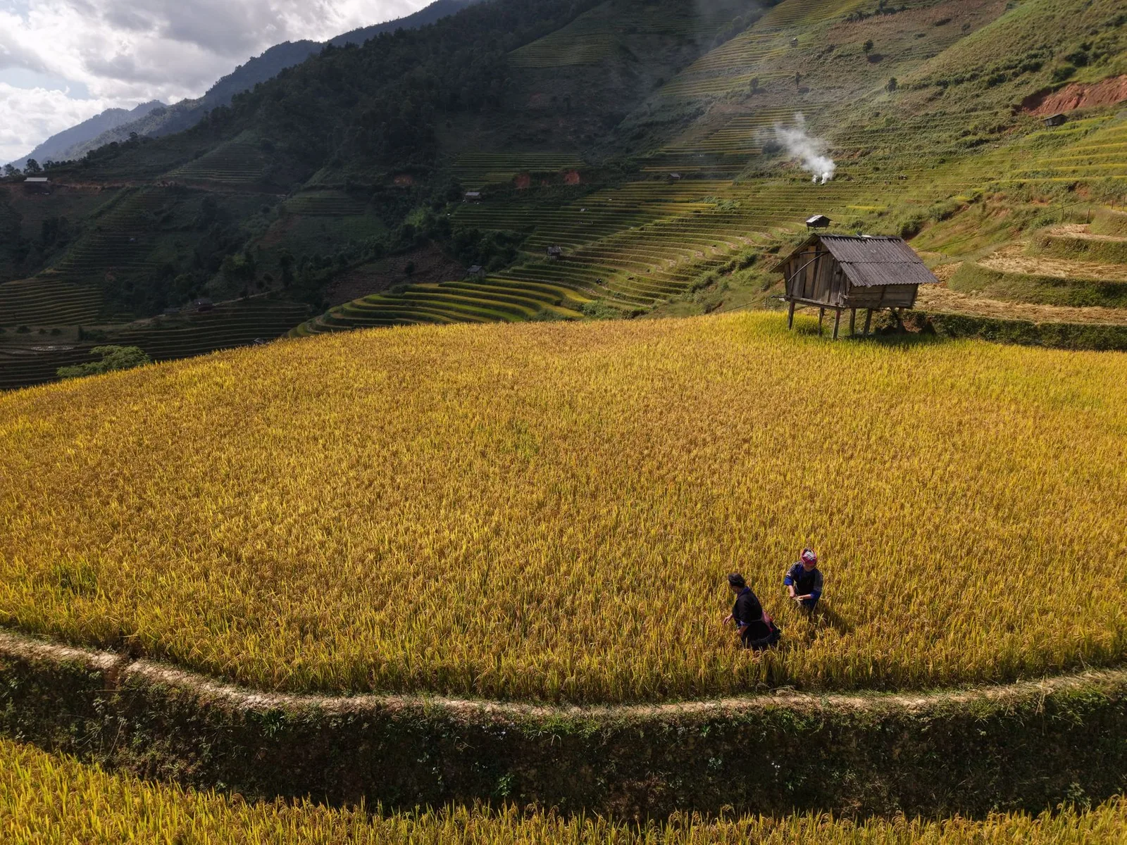 Ruộng bậc thang miền núi phía Bắc vào mùa gặt