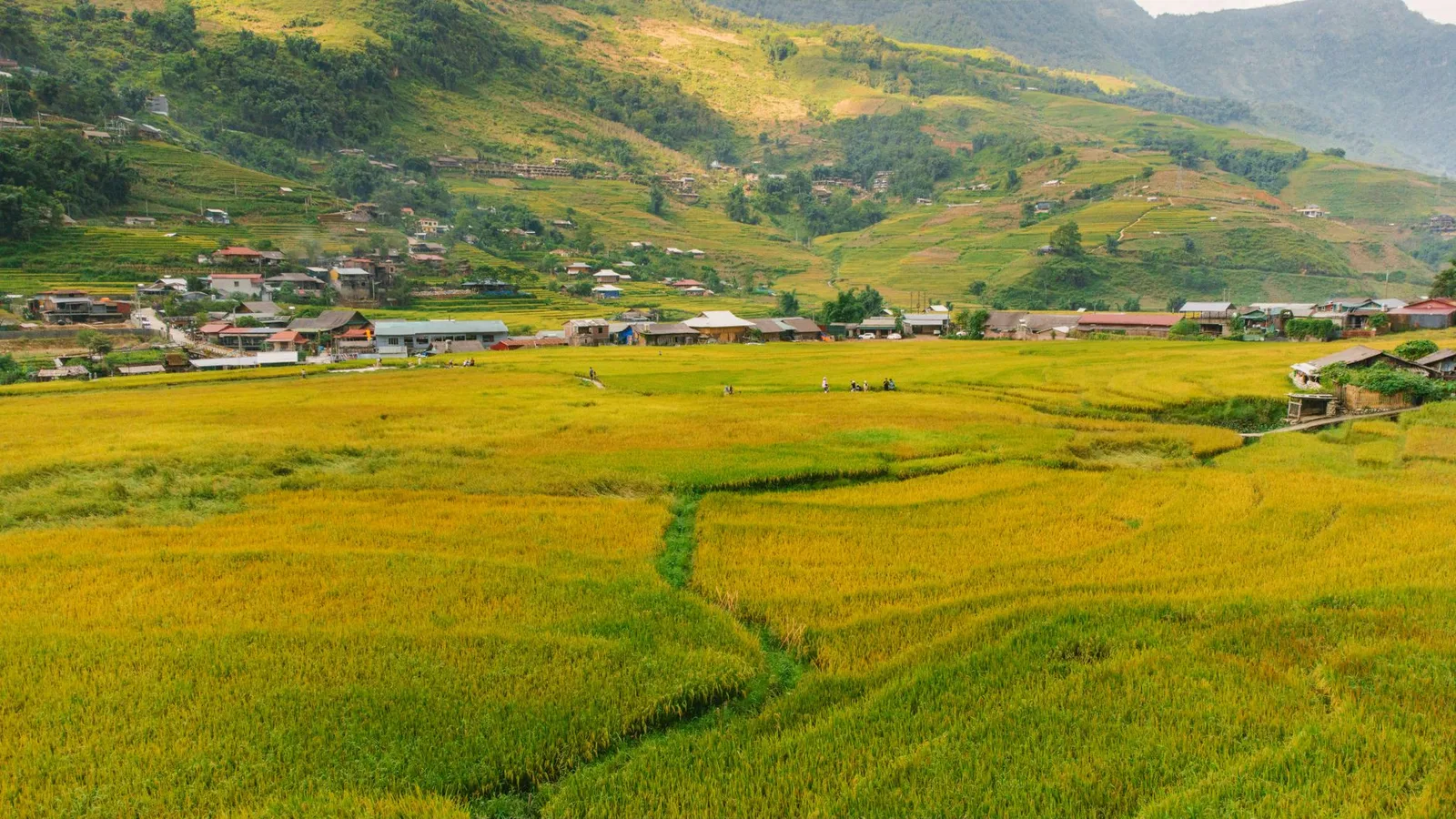 Thung lũng núi Mù Cang Chải mùa thu yên bình