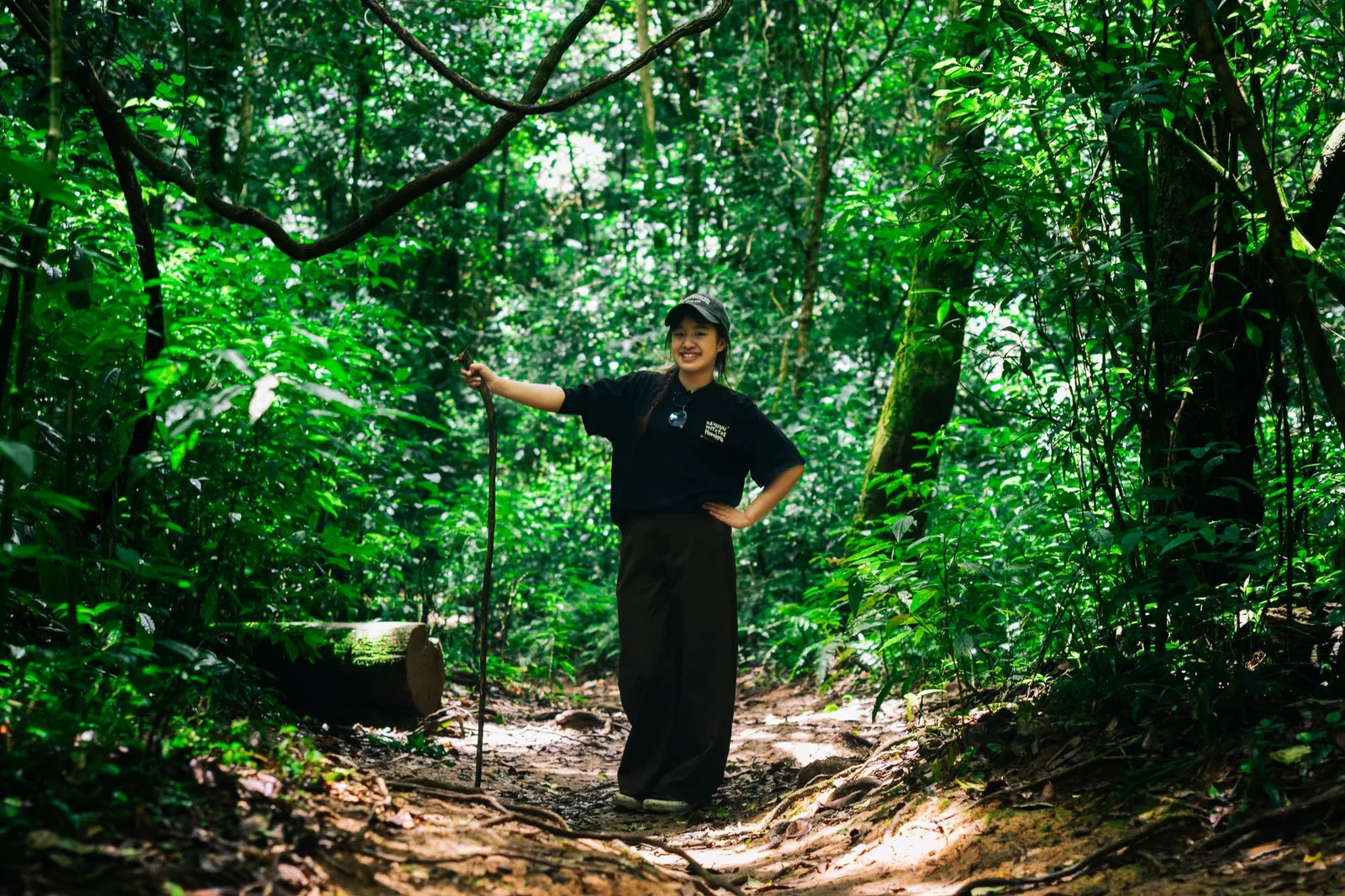 Người trekking băng qua rừng thông trên núi Tam Đảo buổi sớm