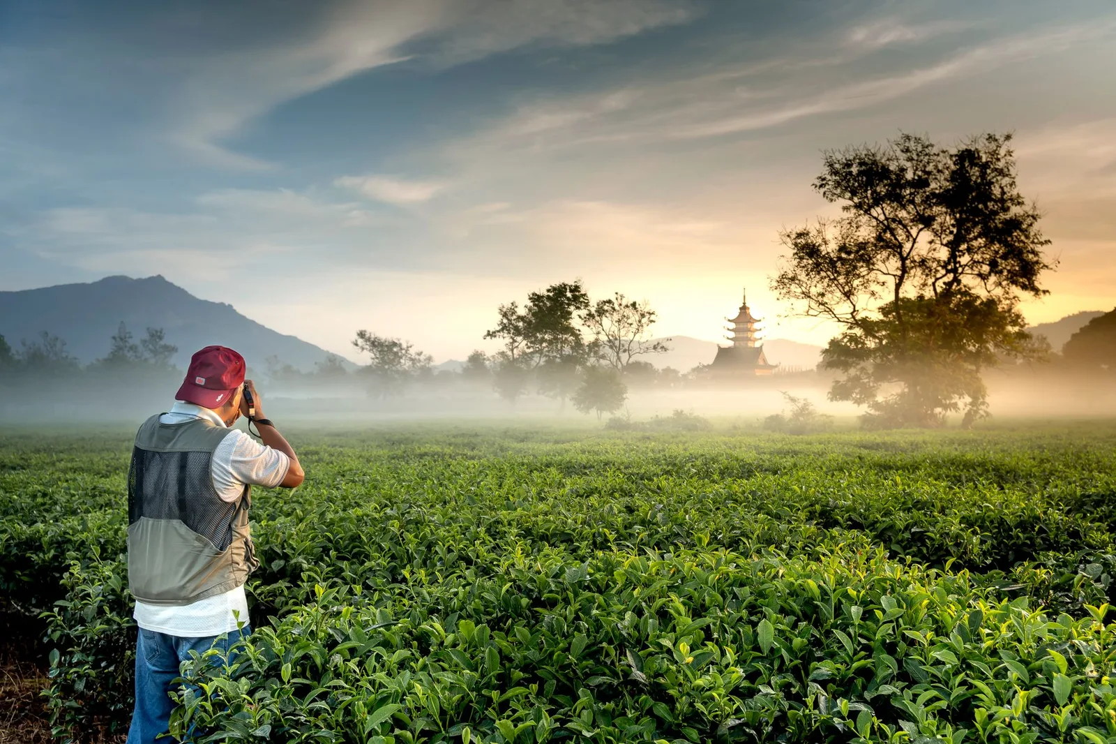 Nhiếp ảnh gia chụp ảnh tại điểm ngắm cảnh Tam Đảo