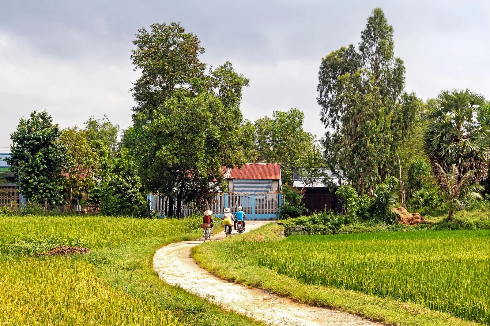 Homestay nông thôn Viện Nam yên tĩnh