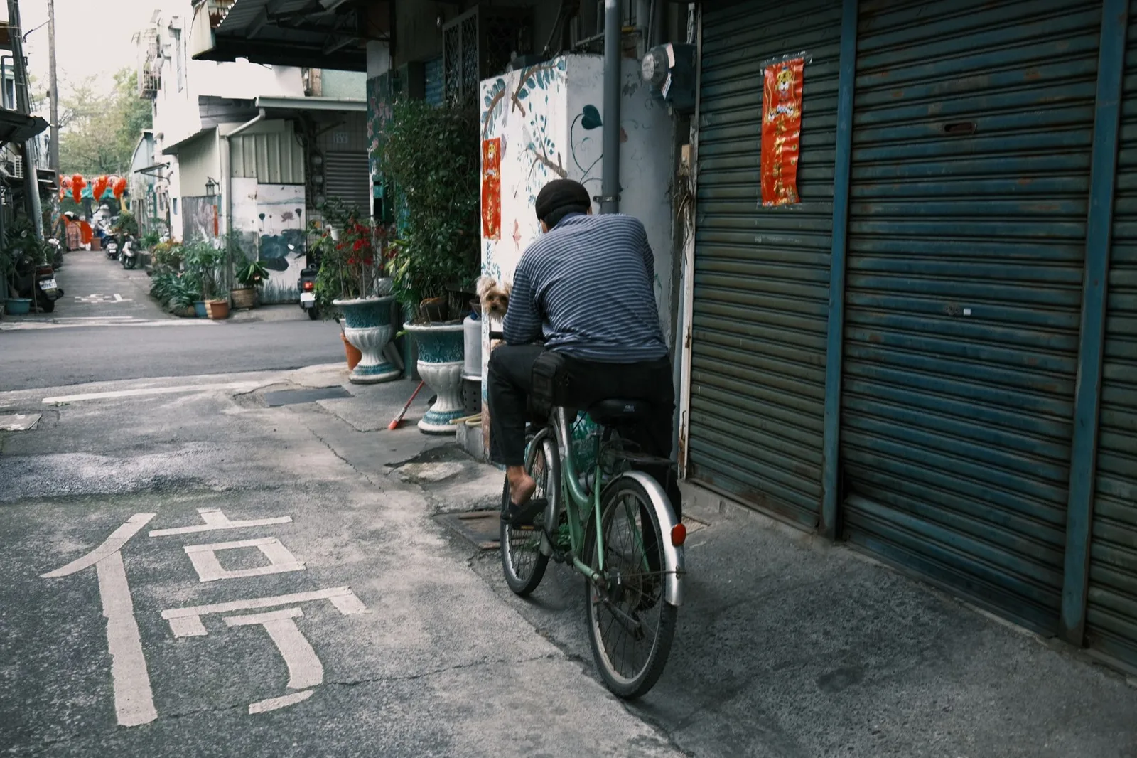 Đi xe đạp qua hẻm phố cổ Hà Nội an toàn