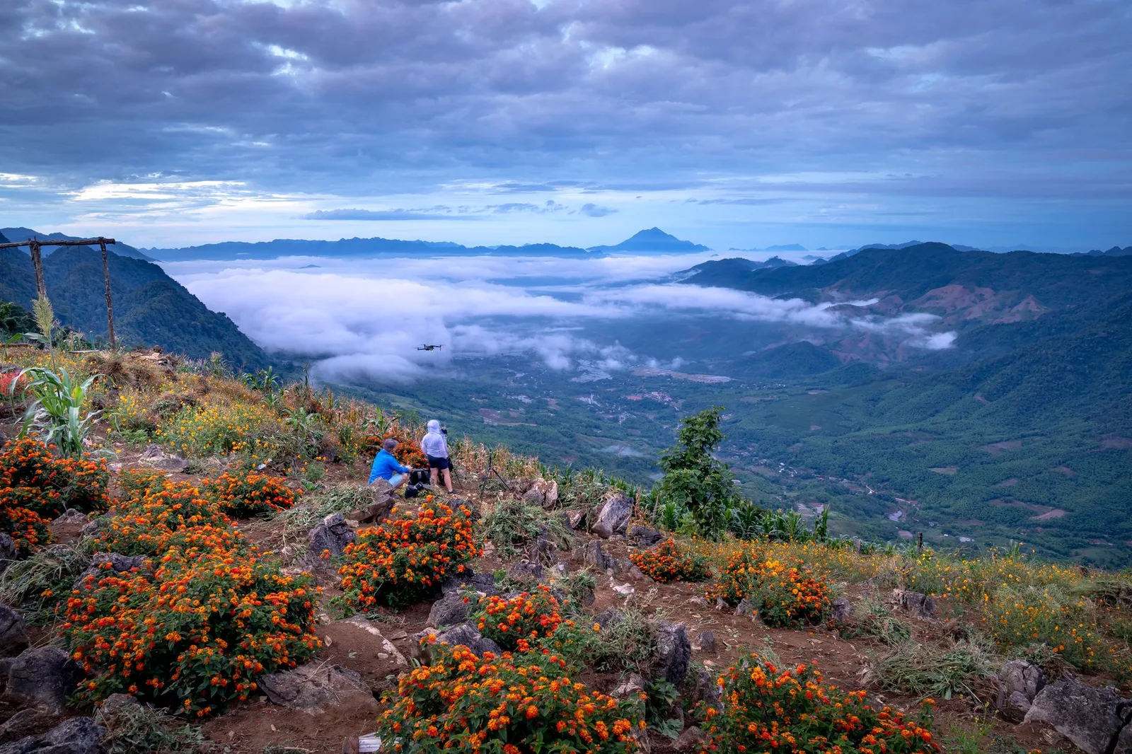 Người Việt trekking giữa khung cảnh núi cao và biển mây