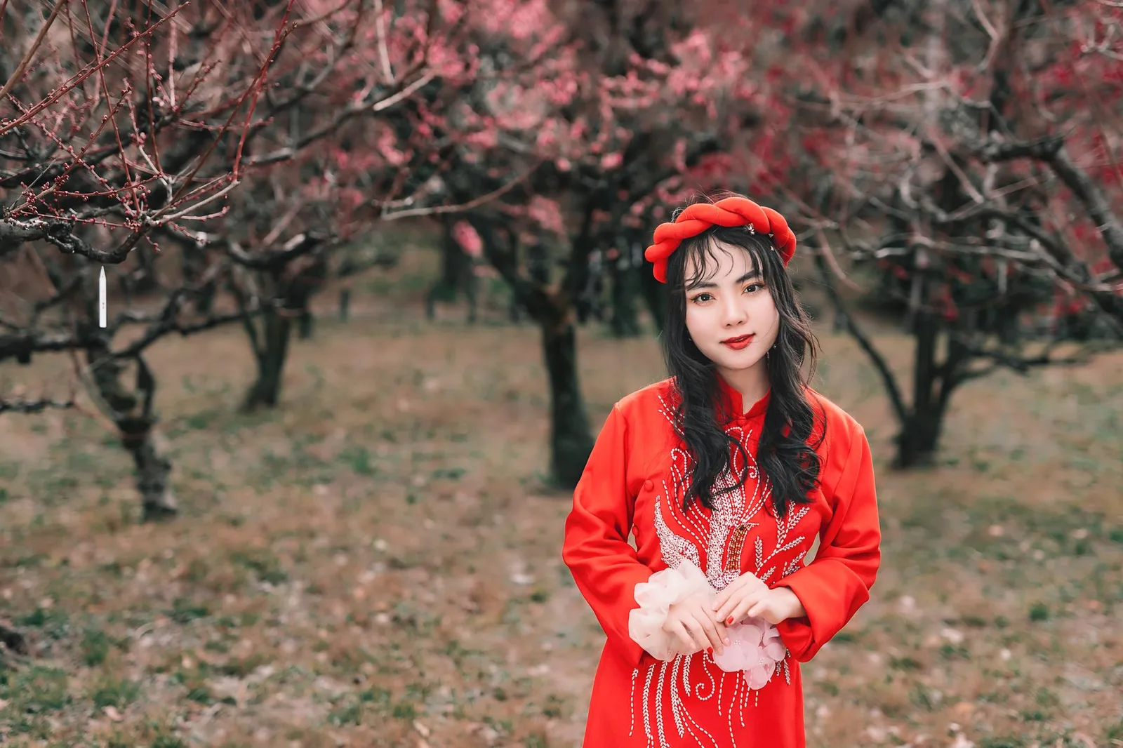 Người chụp hình hoa mận bằng máy ảnh