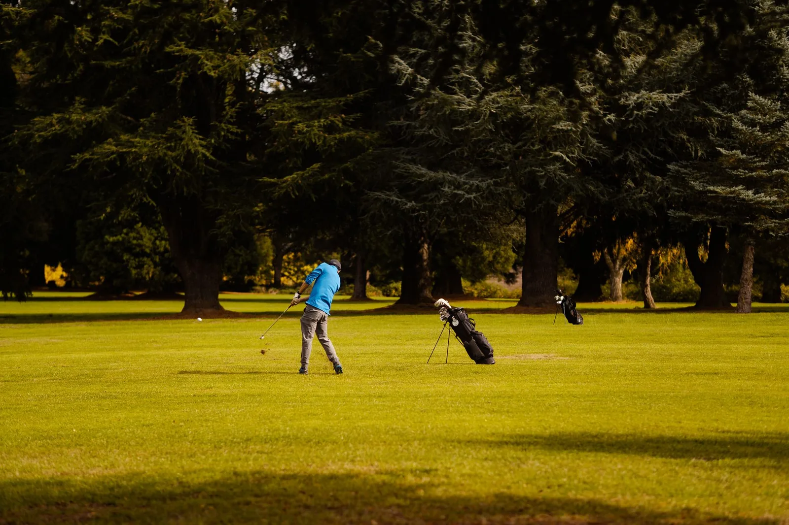 Đường golf rộng và ít chướng ngại phù hợp với người mới