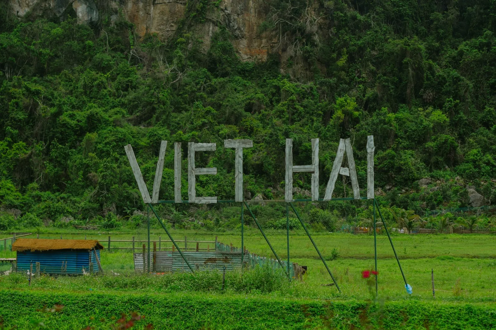 Không gian nghỉ dưỡng tĩnh lặng giữa vùng quê Việt Nam