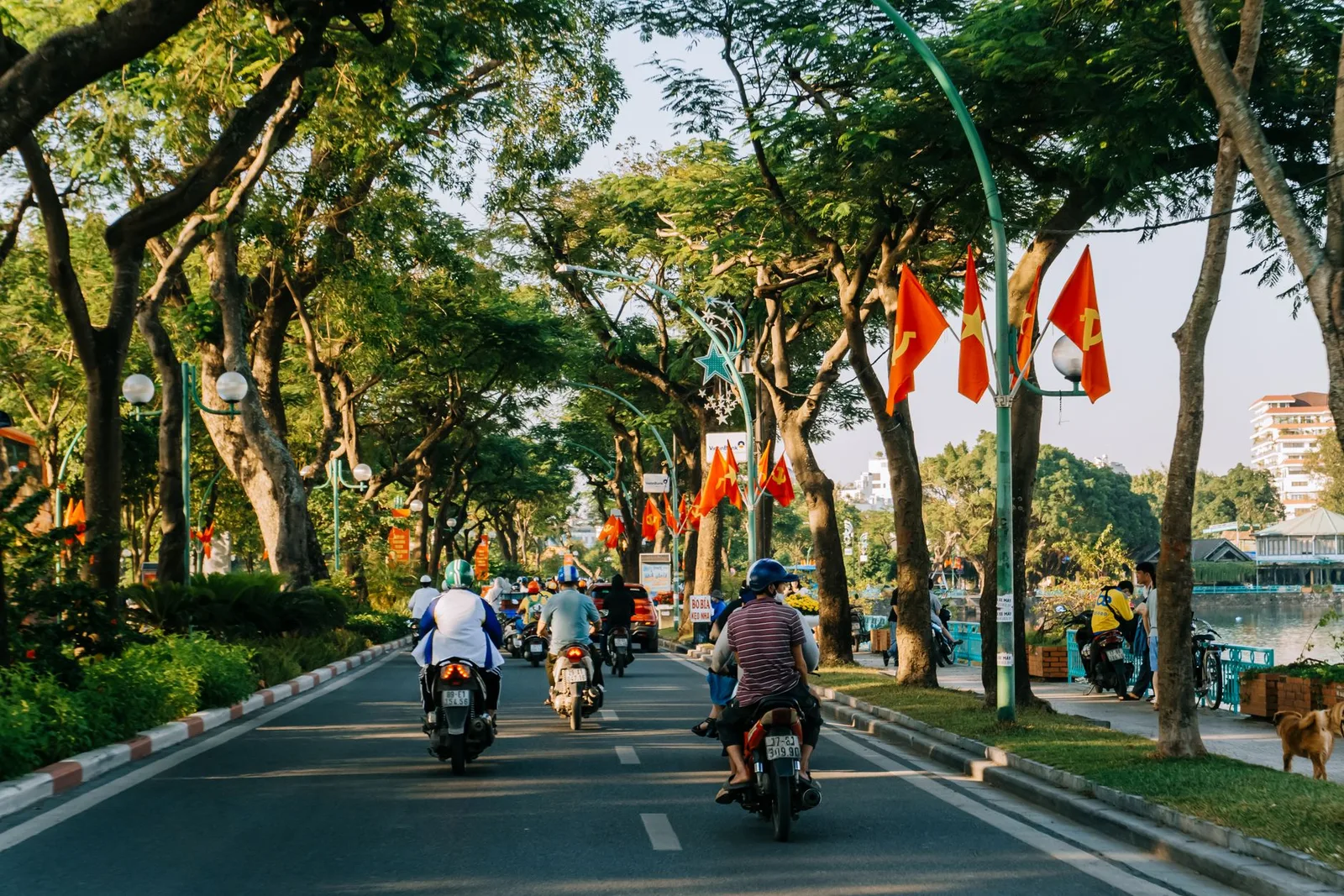 Tuyến phố nhiều cây xanh ở Hà Nội vào buổi tối