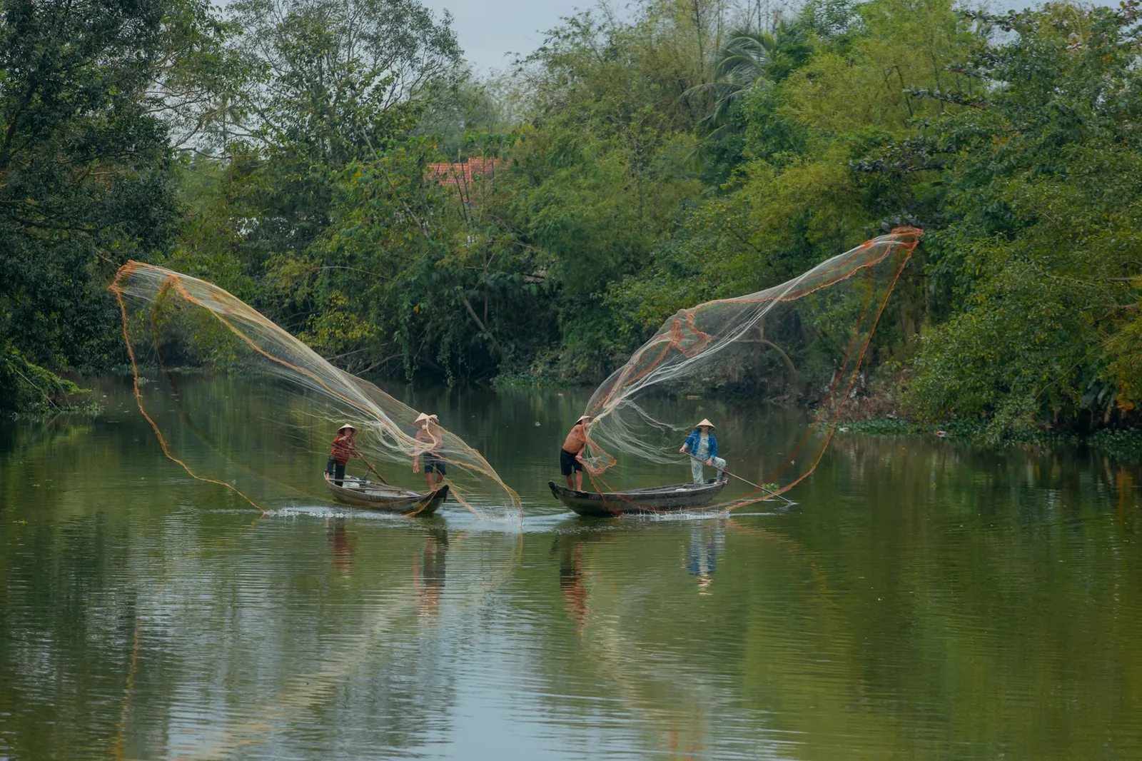 Người dân lội ao bắt cá trong khung cảnh làng quê