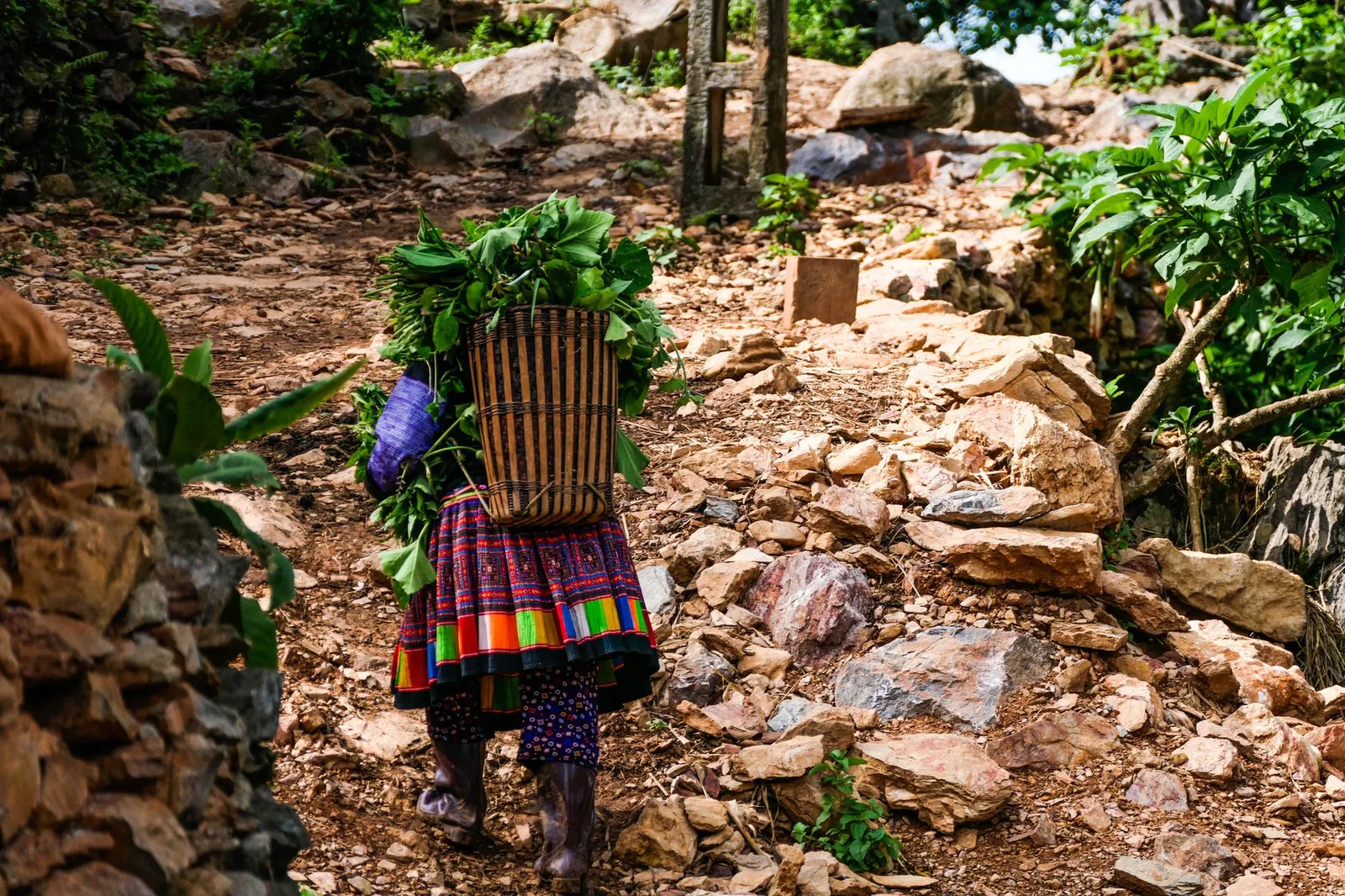 Phụ nữ châu Á tập leo dốc chuẩn bị trekking