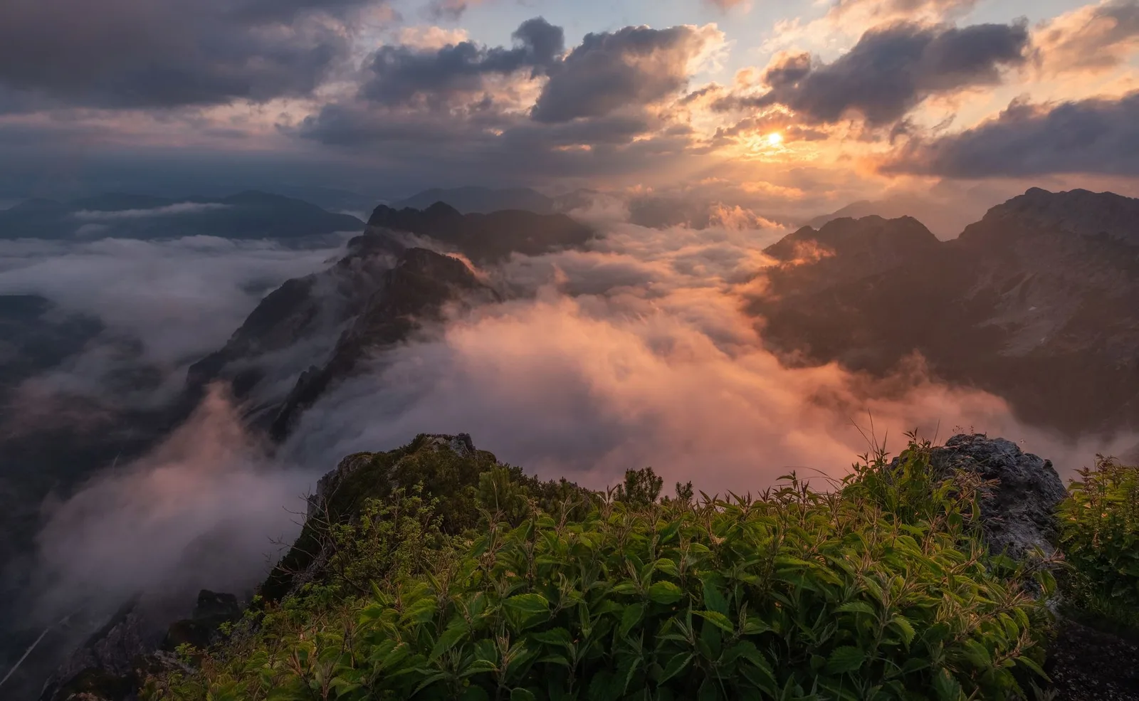 Lớp mây hình thành trong thung lũng vào buổi sáng