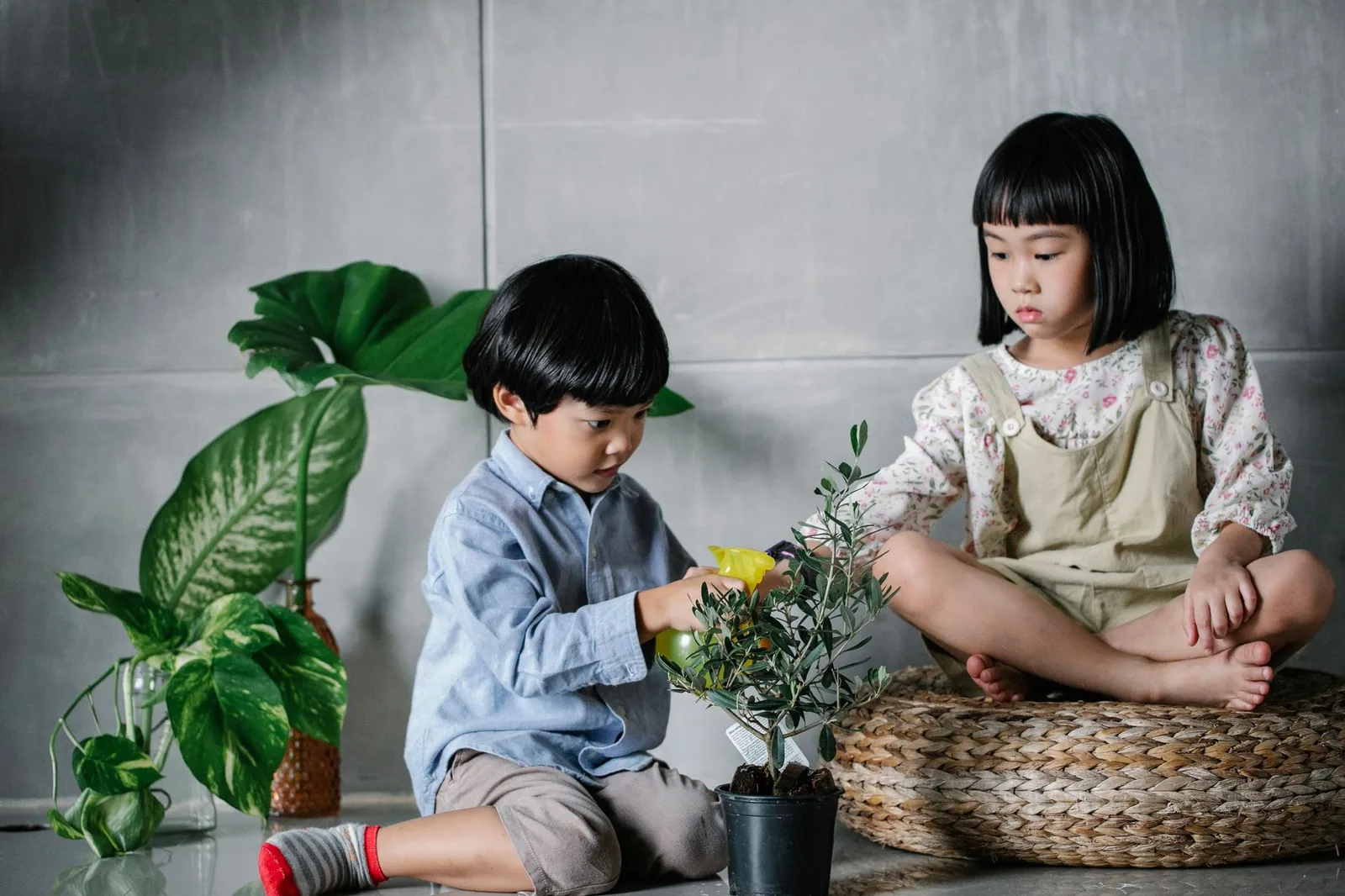 Gia đình khám phá vườn thực vật cùng trẻ nhỏ