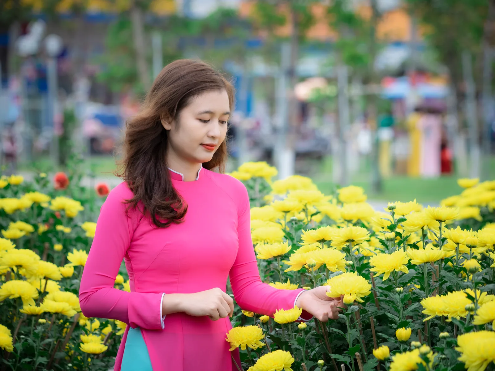 Du khách Việt Nam chụp ảnh trong vườn hoa