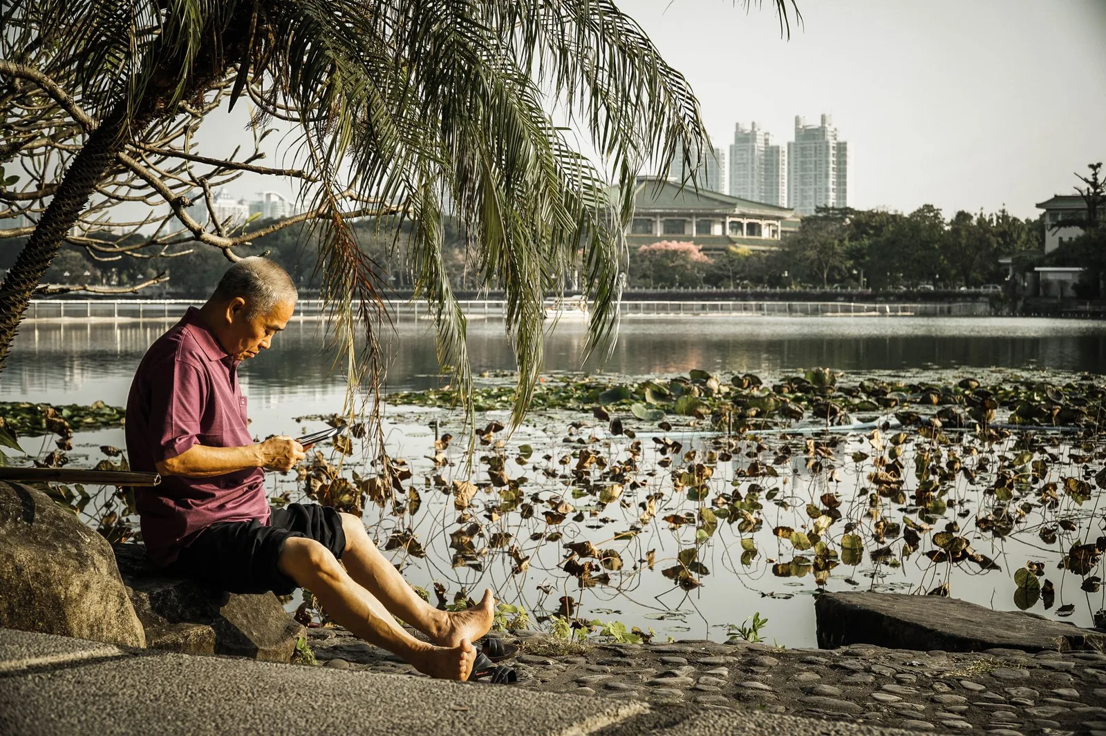 Người lớn tuổi thư giãn bên hồ và vườn hoa vào buổi chiều