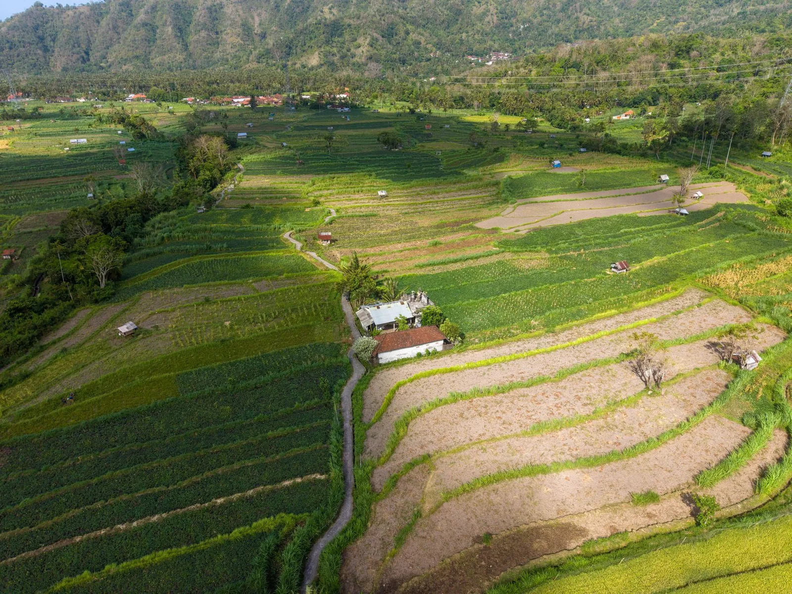 Phòng nghỉ yên tĩnh nhìn ra đồng lúa xanh