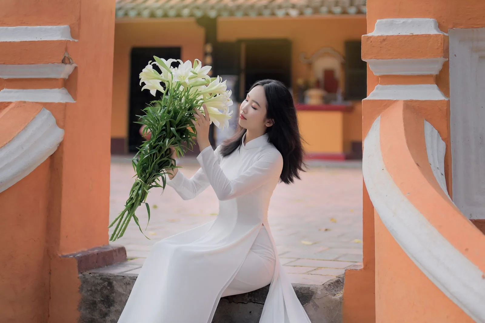 Hoa ban trắng nở rộ tại Điện Biên