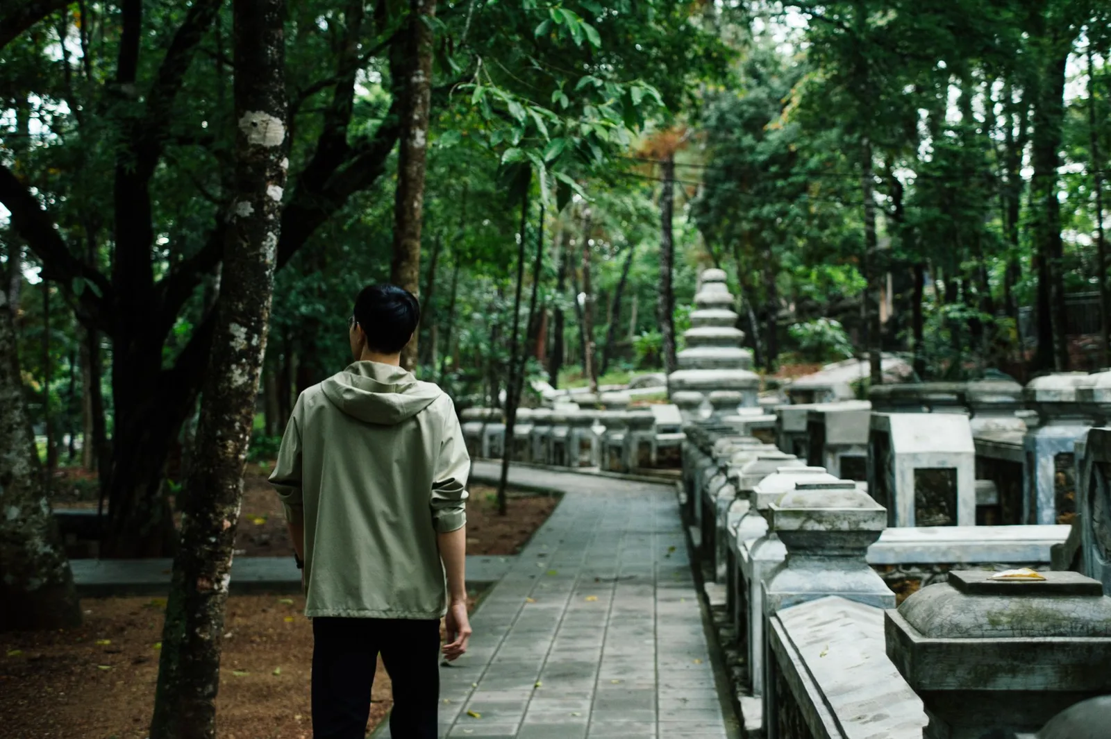 Bậc đá xuyên rừng trên đường leo bộ lên Yên Tử