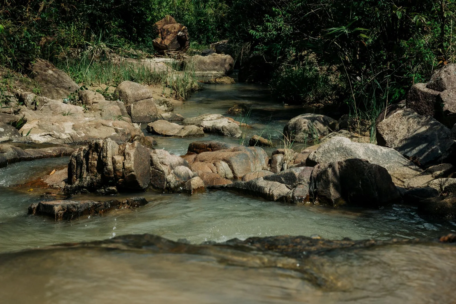 Dòng suối đá giữa rừng trên cung trekking