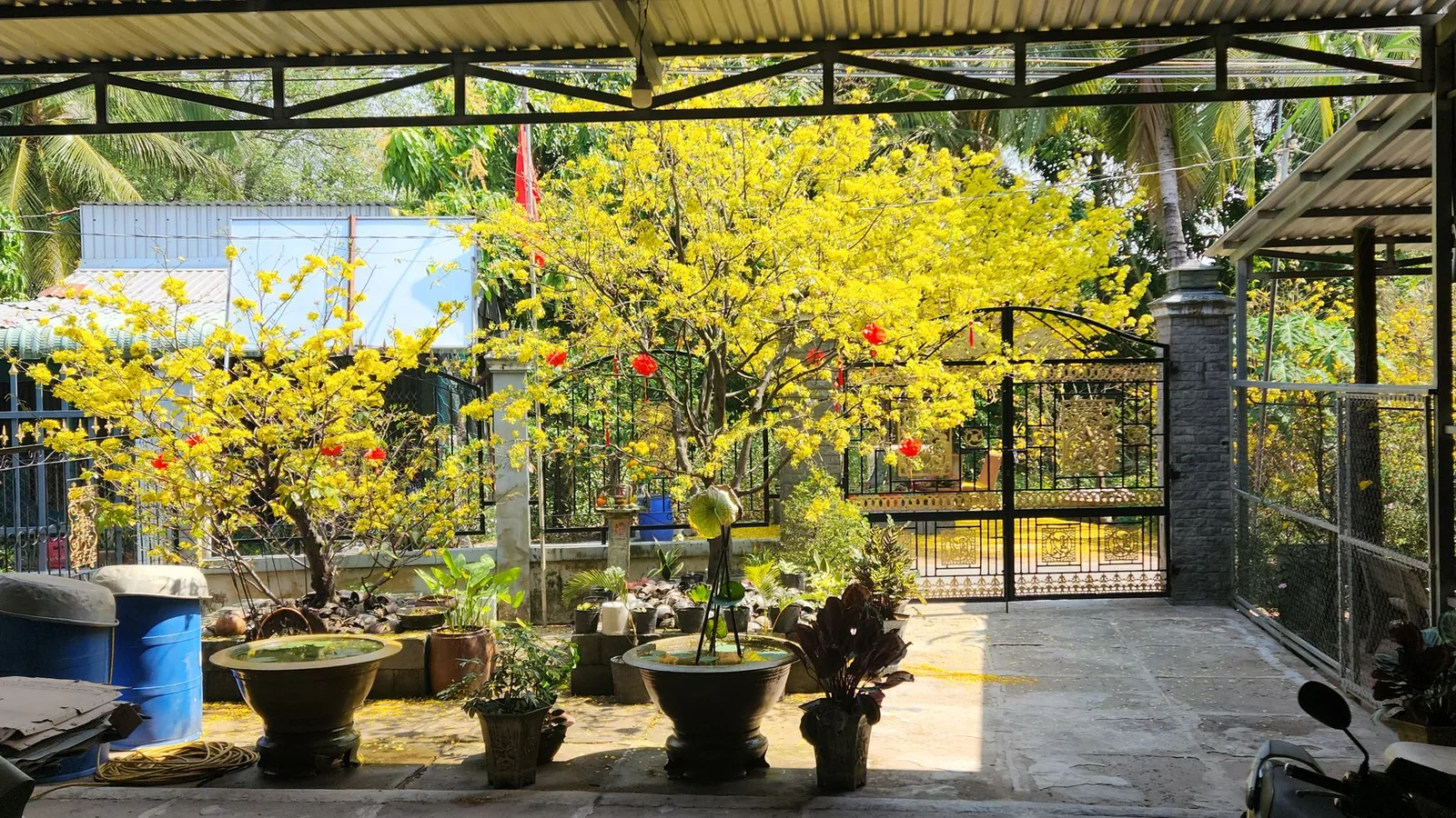 Homestay gia đình nằm trong khu phố thuận tiện