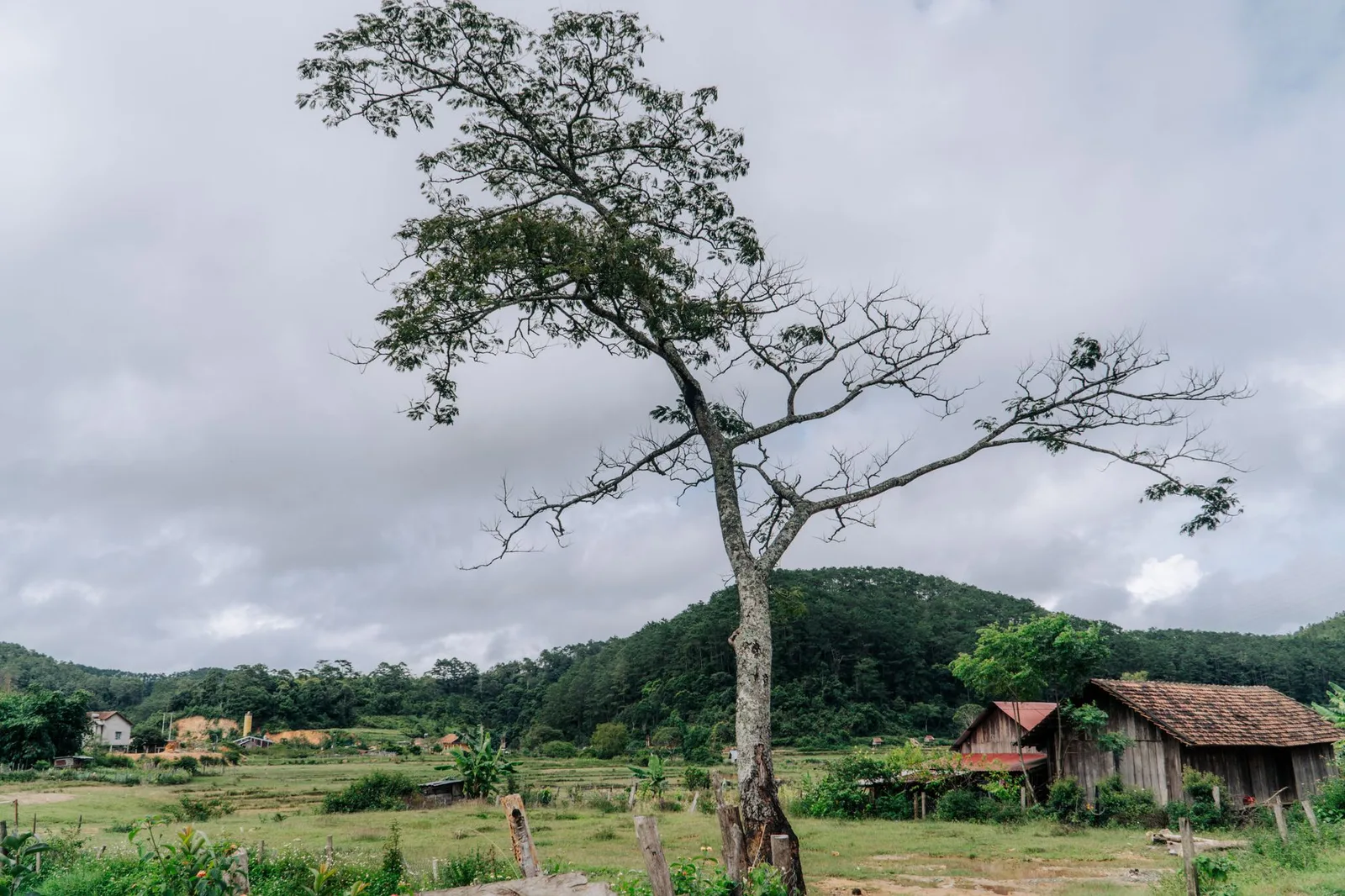 Homestay vùng quê yên tĩnh nằm gần khu dân cư