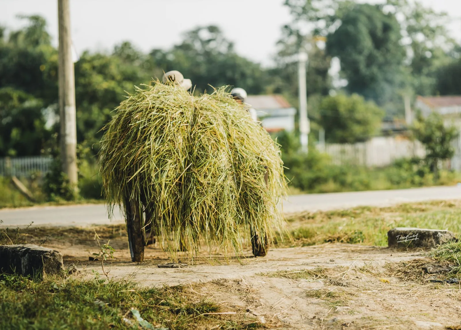 Du khách Việt trải nghiệm nhịp sống tại một ngôi làng địa phương