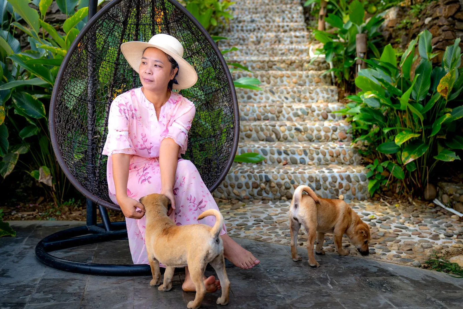 Khách nữ châu Á làm thủ tục nhận phòng cùng chó cưng
