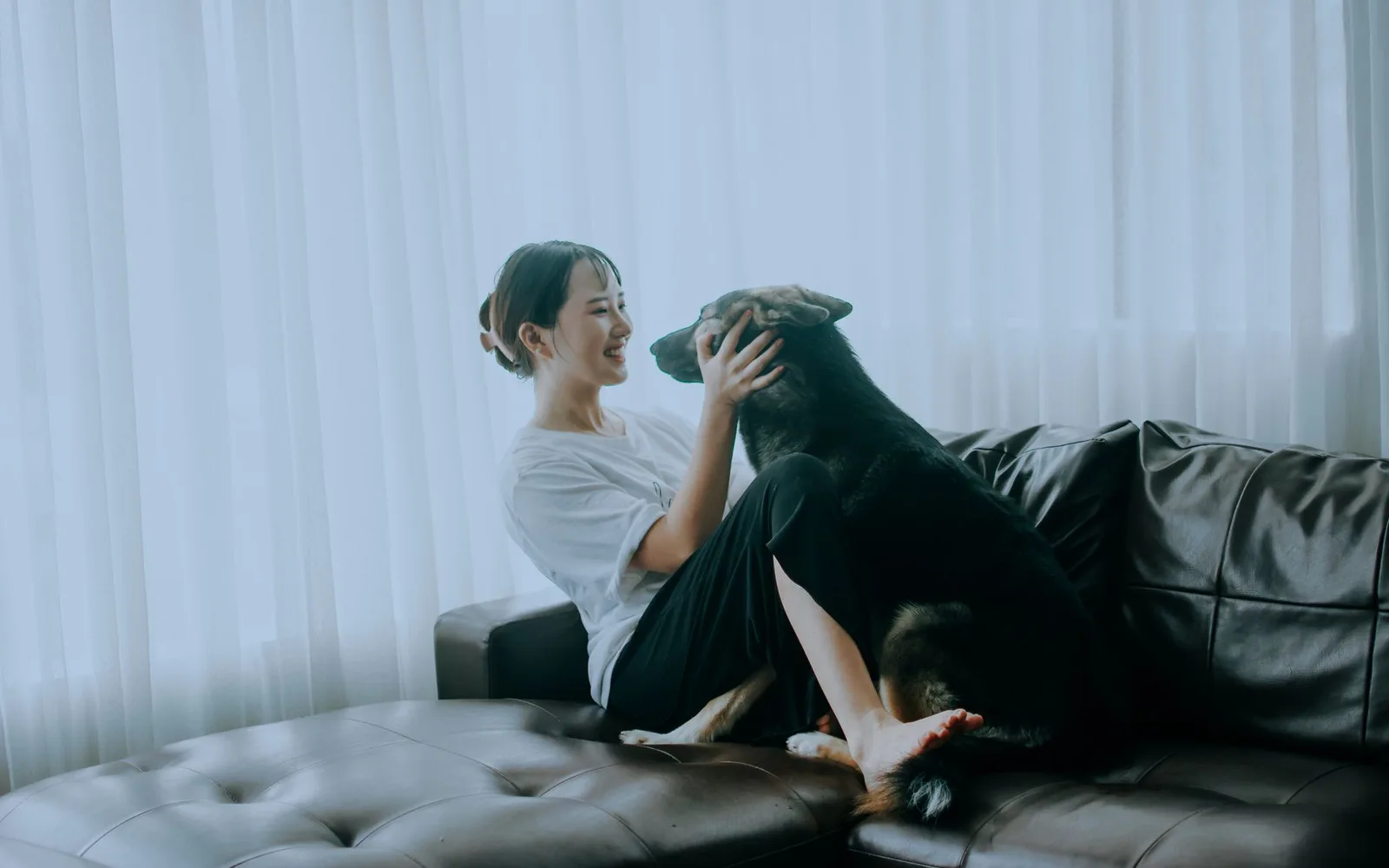 Du khách châu Á nhắn tin hỏi chủ homestay khi đi cùng chó