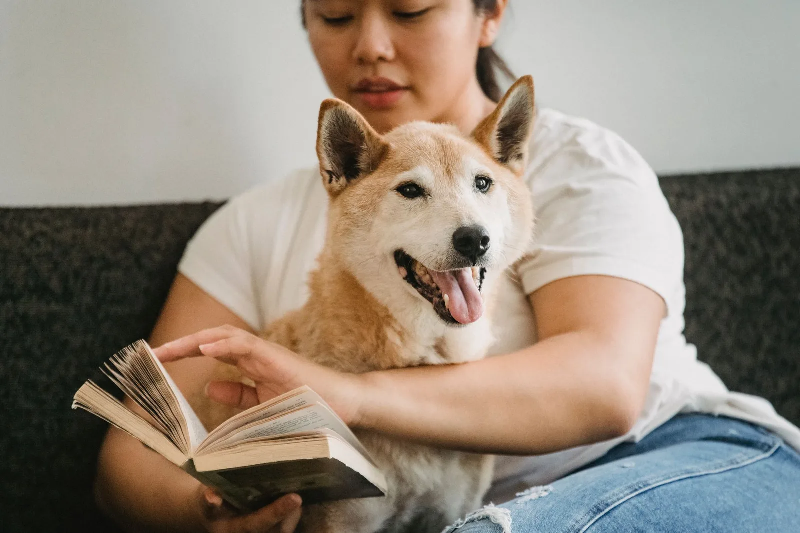 Du khách châu Á lựa chọn chỗ ở phù hợp cho chó cưng