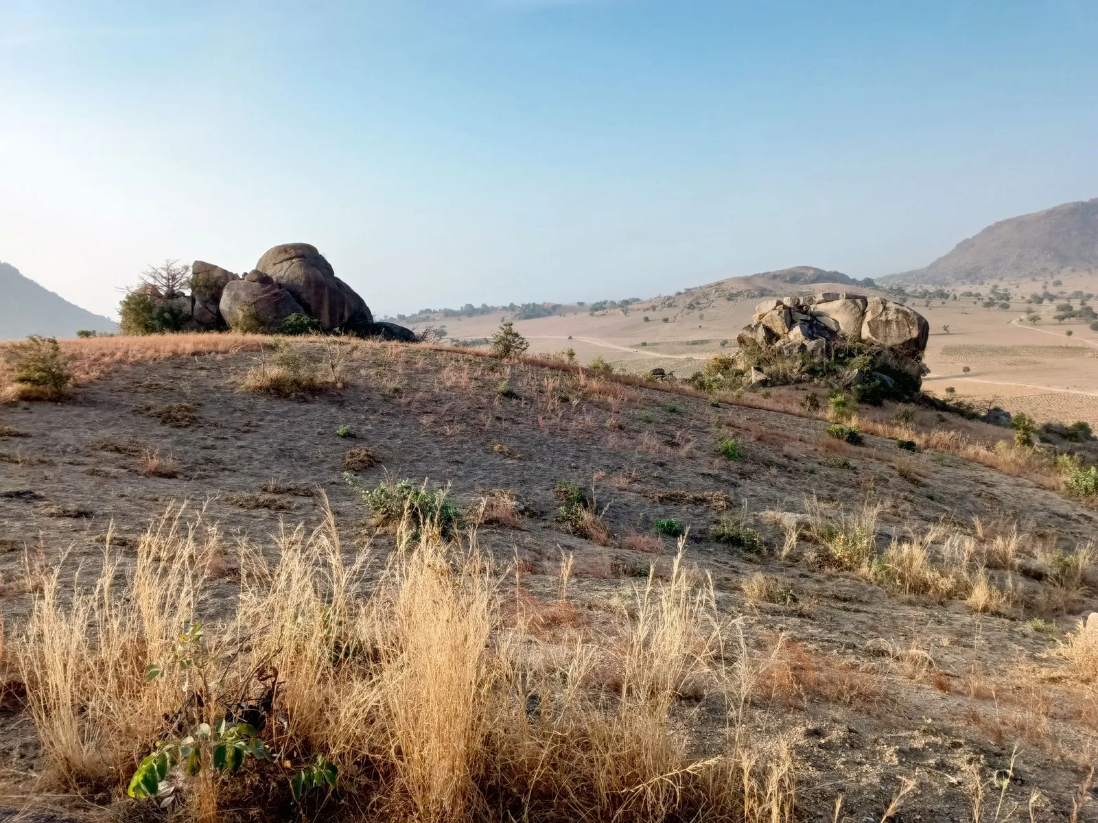 Đồi cỏ Tà Năng xanh đẹp vào mùa trekking thuận lợi