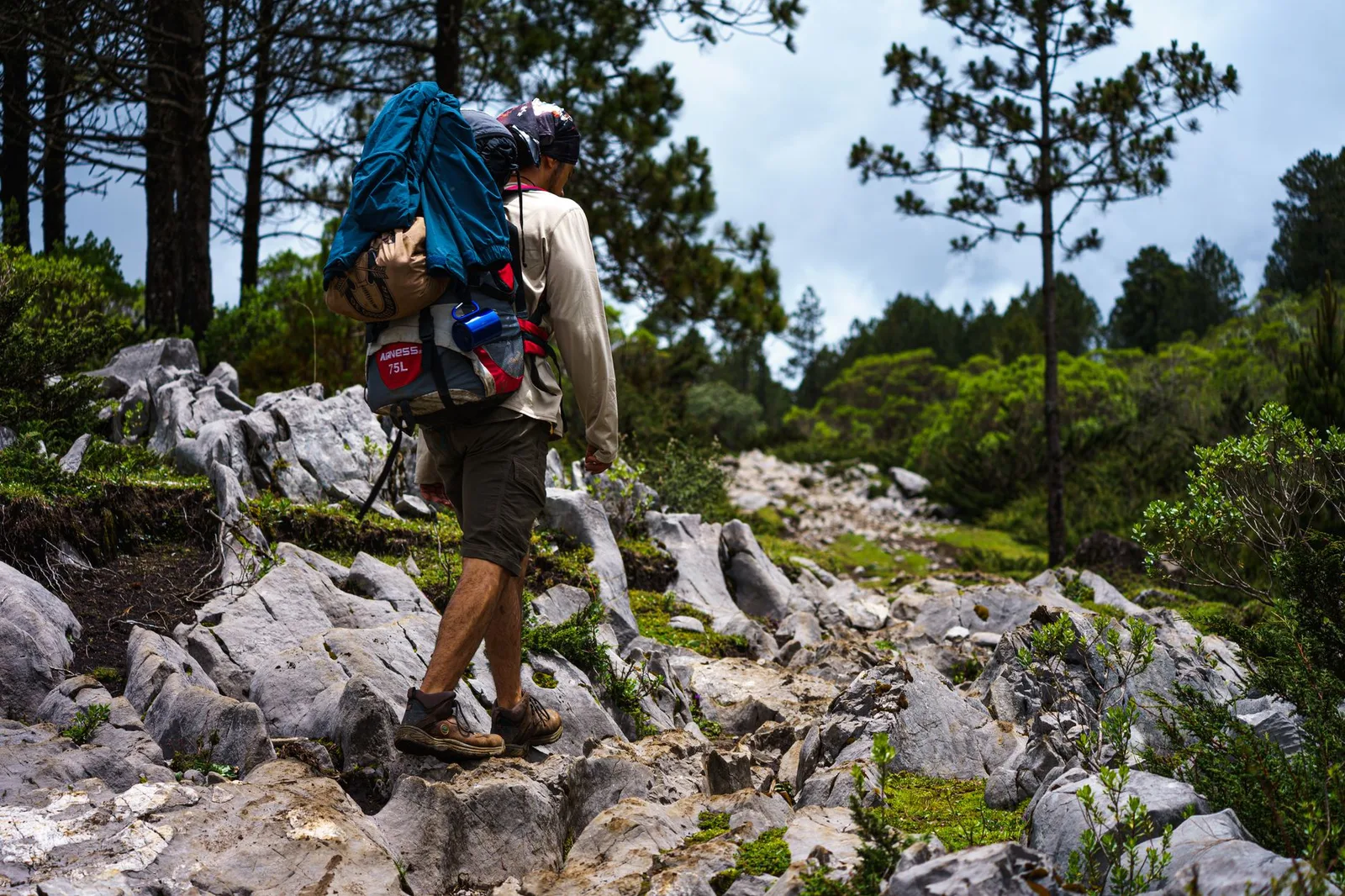 Bữa ăn lành mạnh hỗ trợ phục hồi sau buổi tập trekking