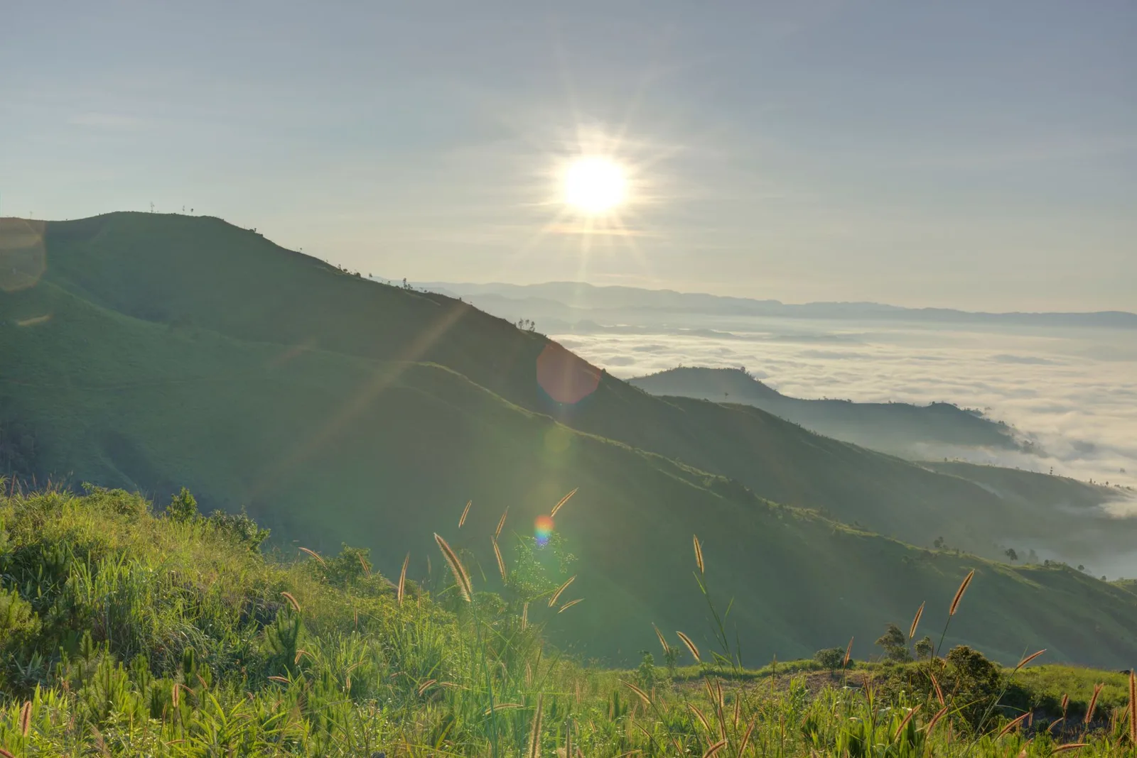 Cung trekking miền Nam giữa khung cảnh núi rừng