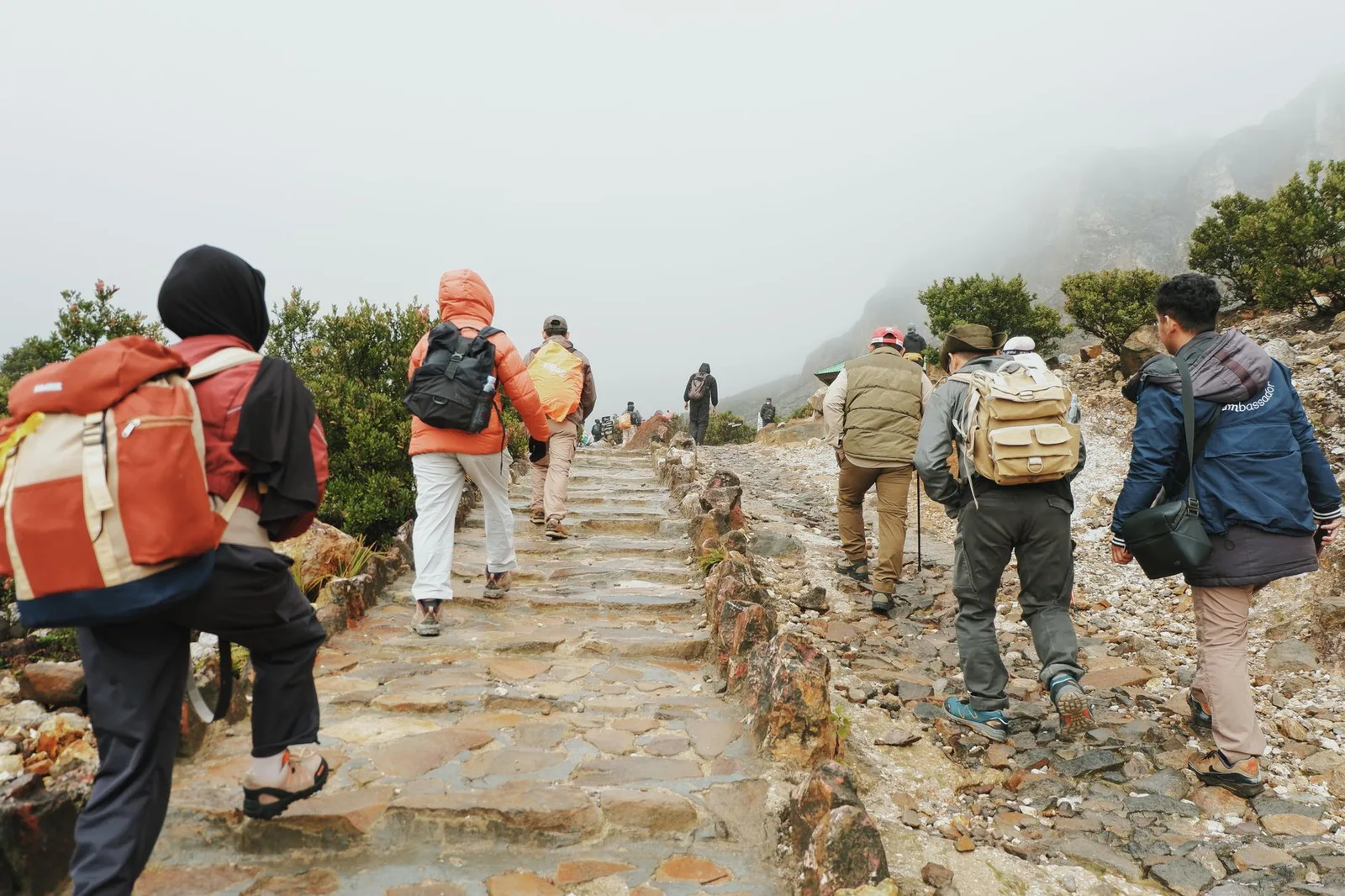 Nhóm trekking quay về khi núi phủ sương dày