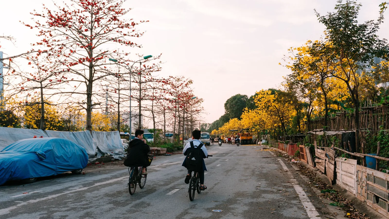 Phố Hà Nội trong ánh nắng vàng dịu của buổi sáng mùa thu
