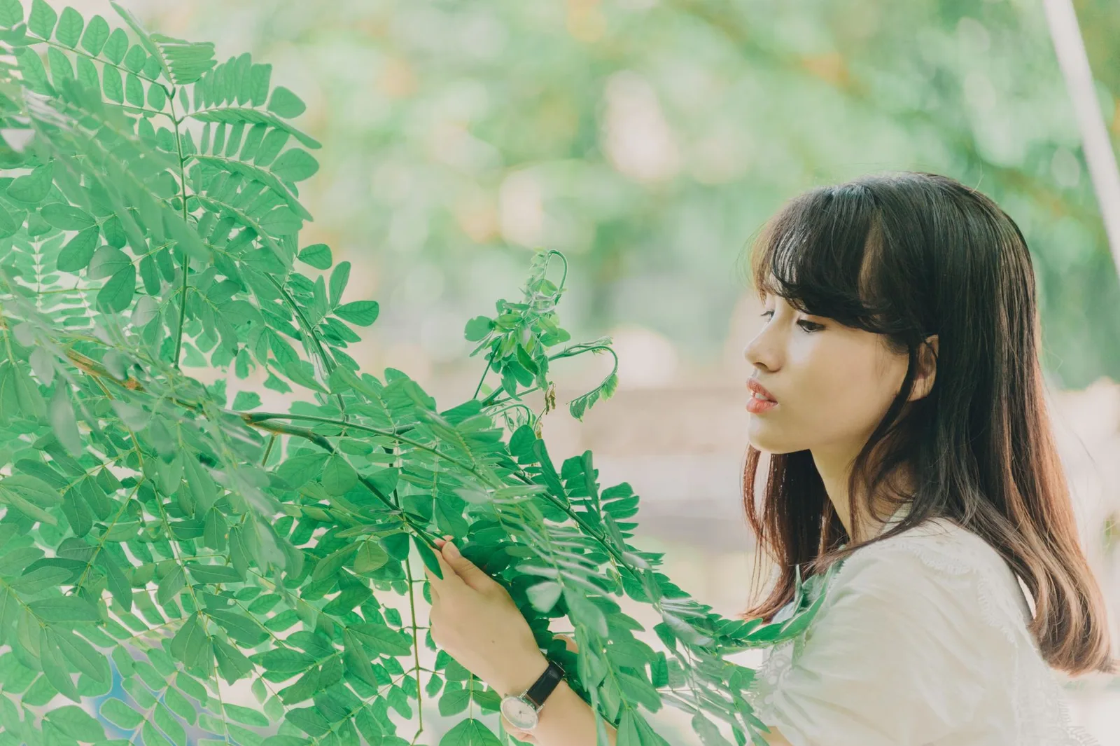 Bàn tay giữ cốm lá sen xanh cho hương thu trọn vẹn