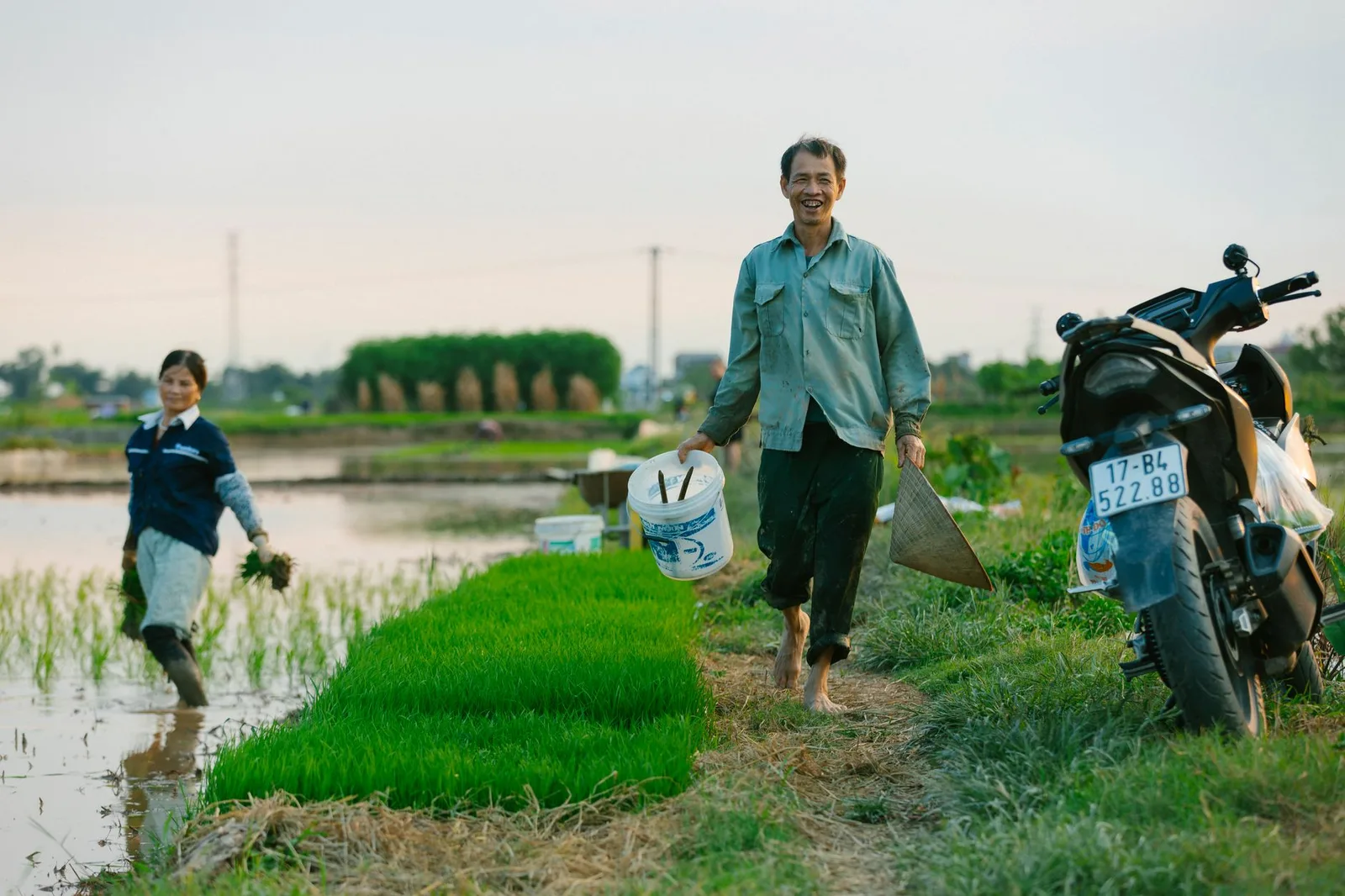 Cận cảnh hạt cốm Hà Nội màu xanh dẻo thơm